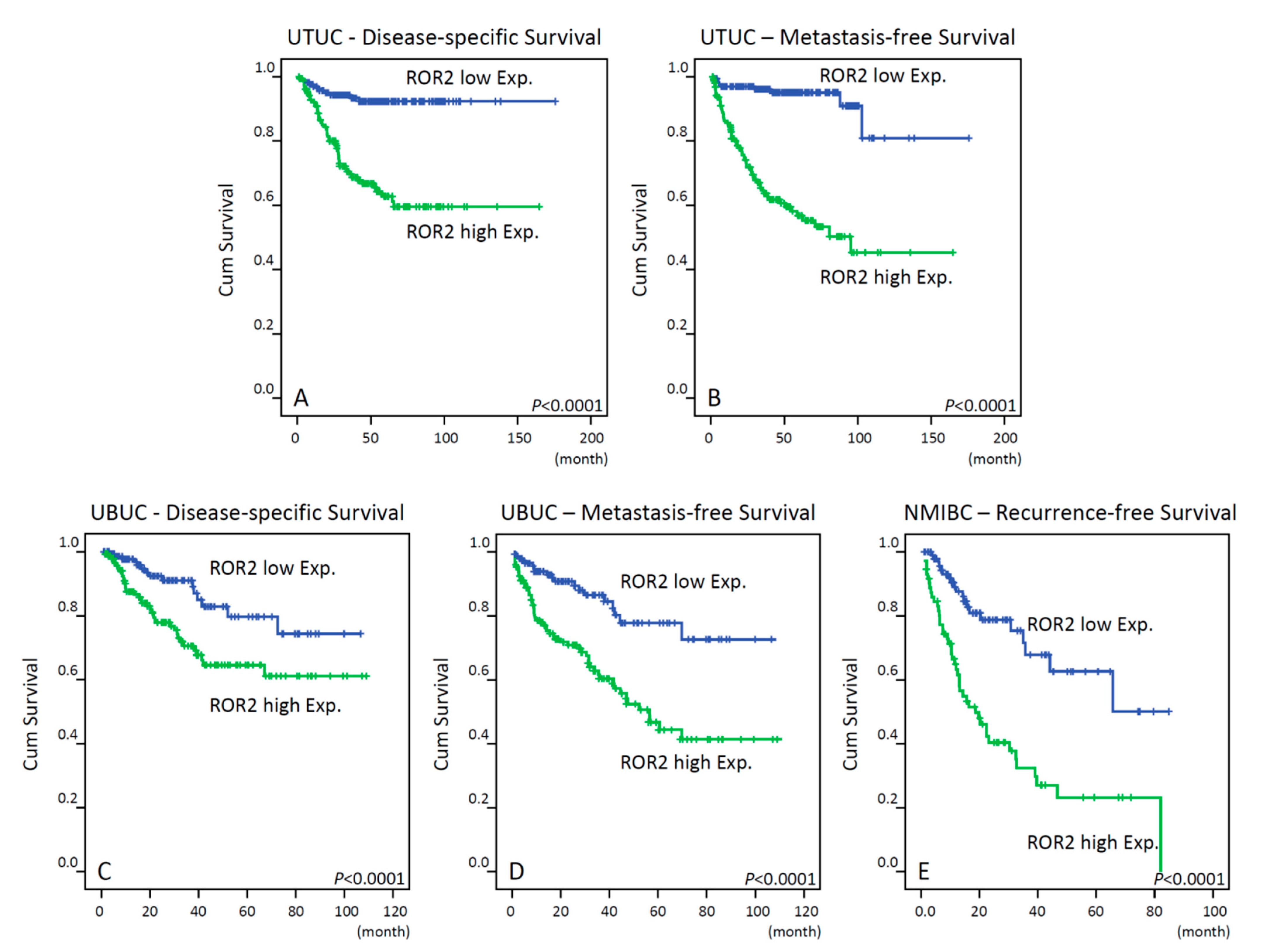 Biomedicines 09 01054 g003 550