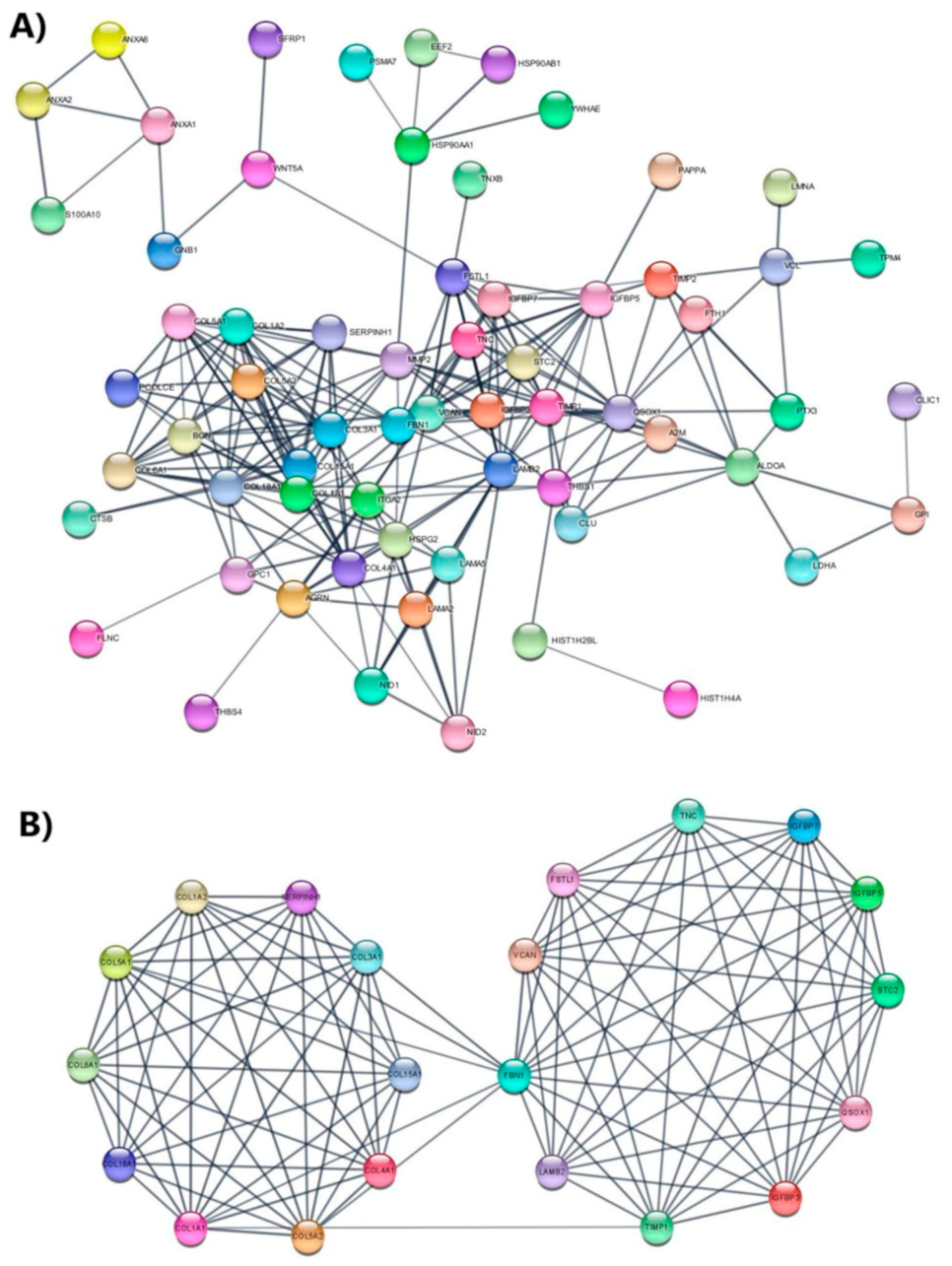 Biomedicines 09 01058 g006