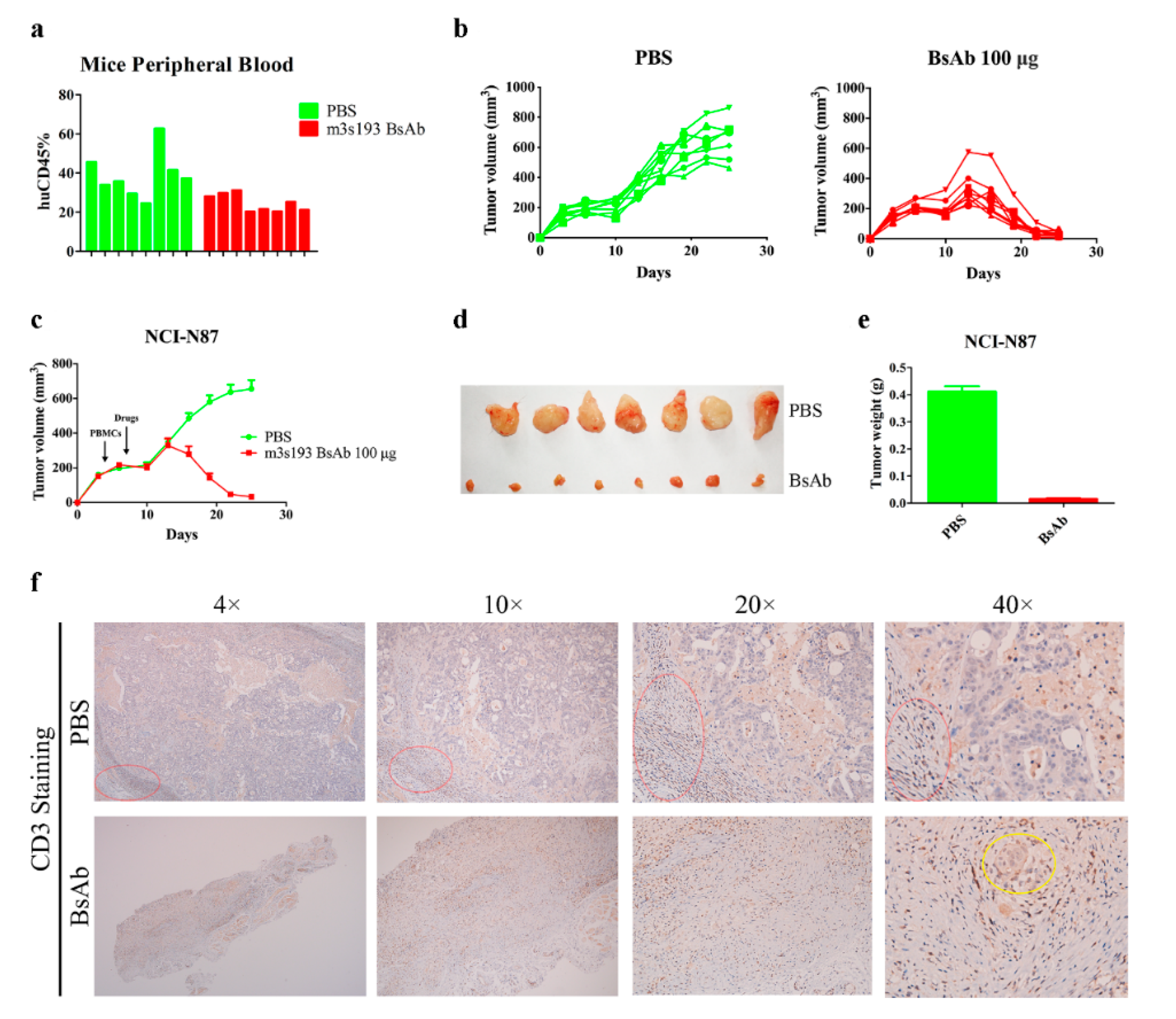 Biomedicines 09 01059 g007