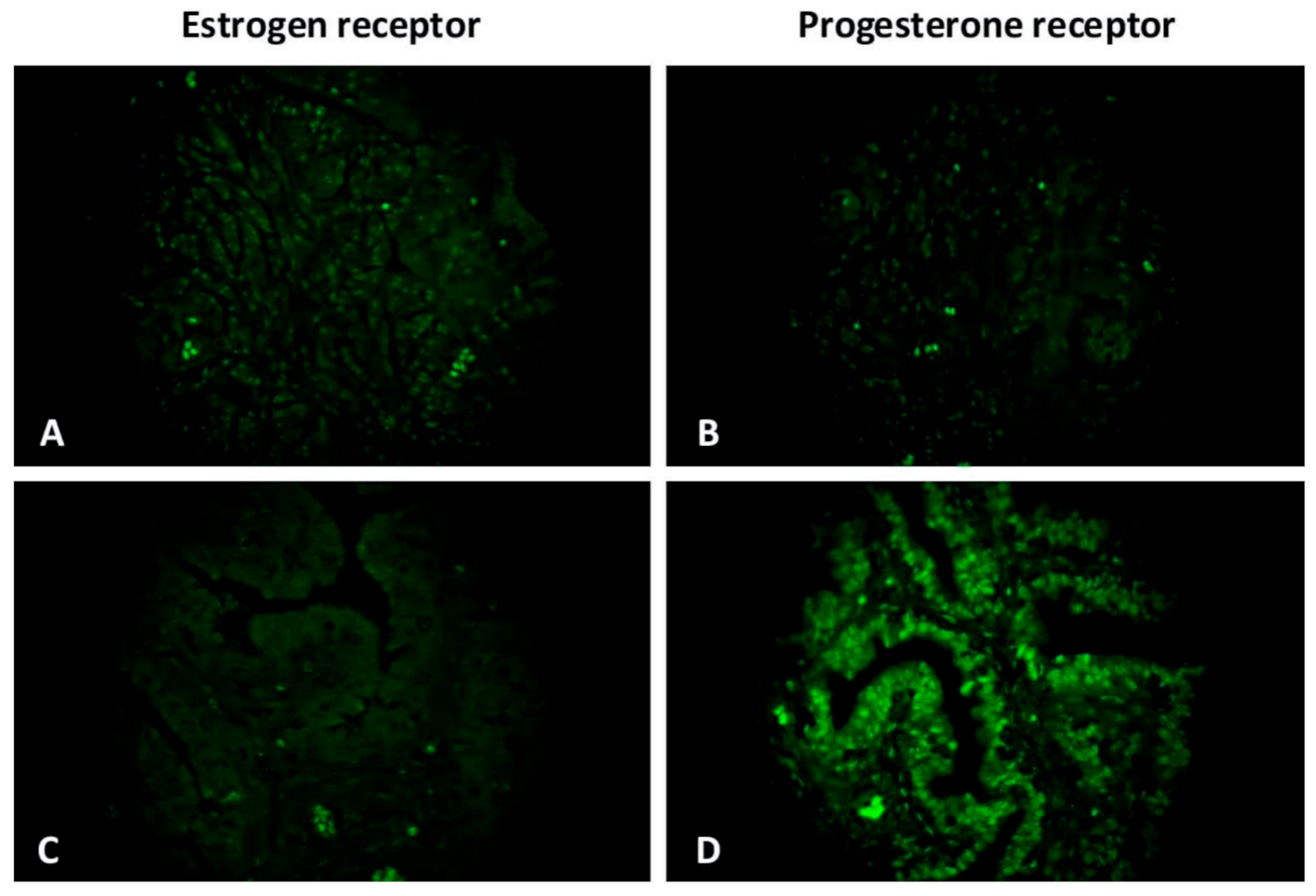 Biomedicines 09 01060 g007 550
