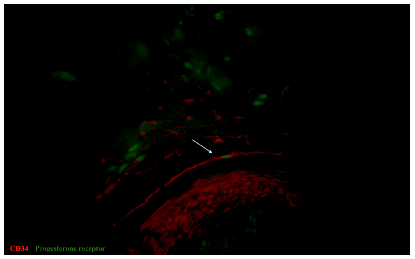 Biomedicines 09 01060 g009 550