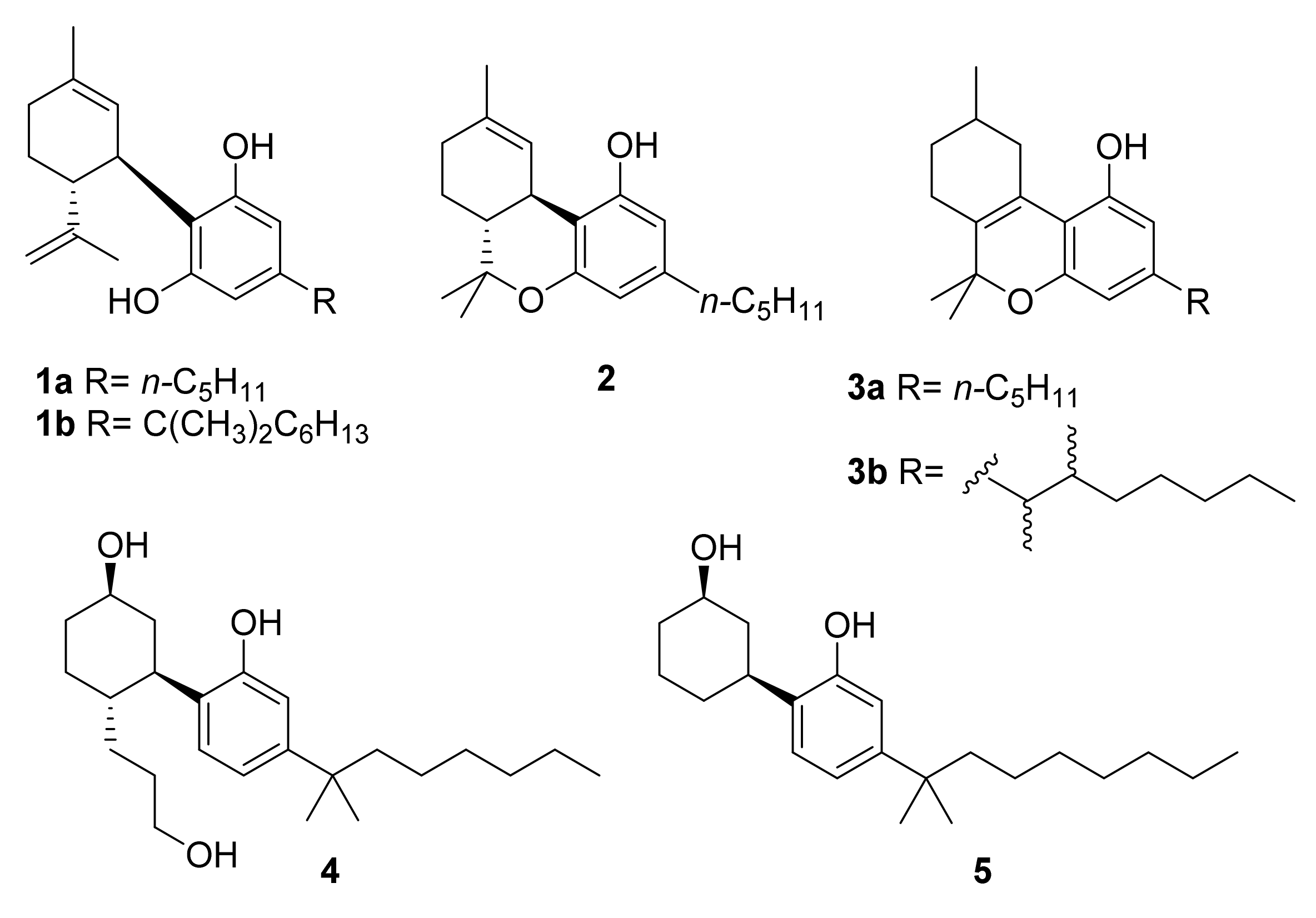 Biomedicines 09 01070 g001