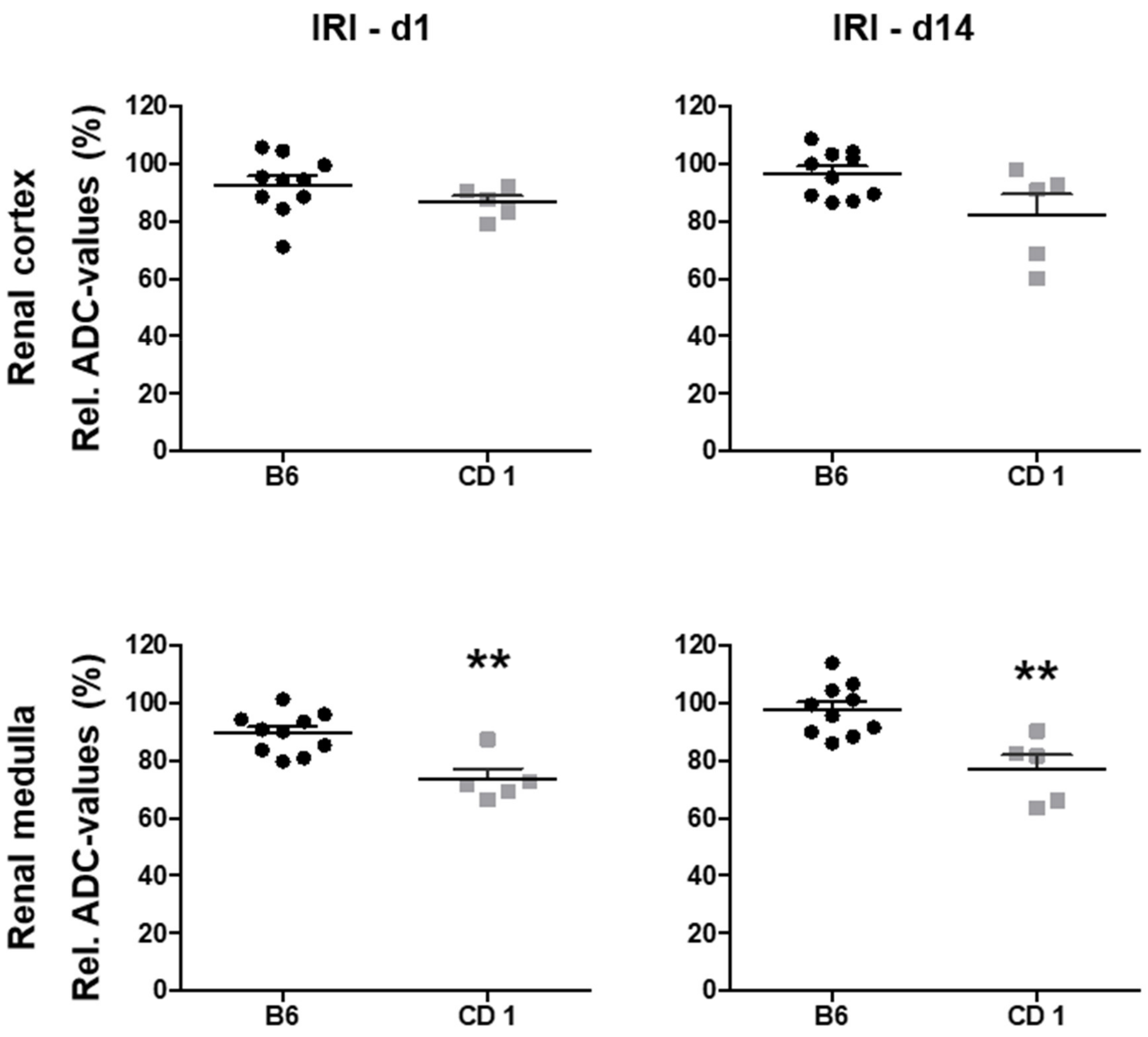 Biomedicines 09 01071 g001 550