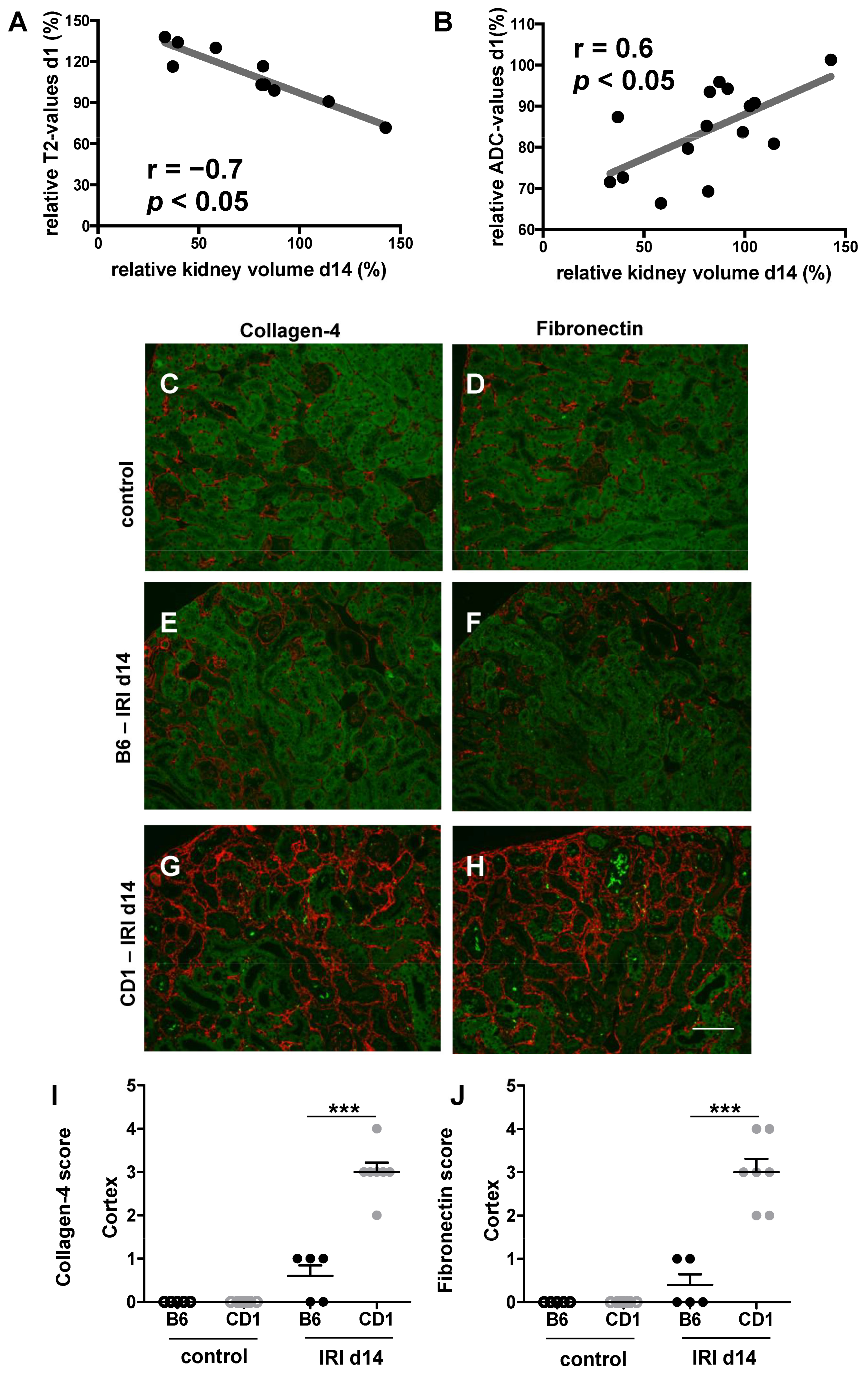 Biomedicines 09 01071 g004 550