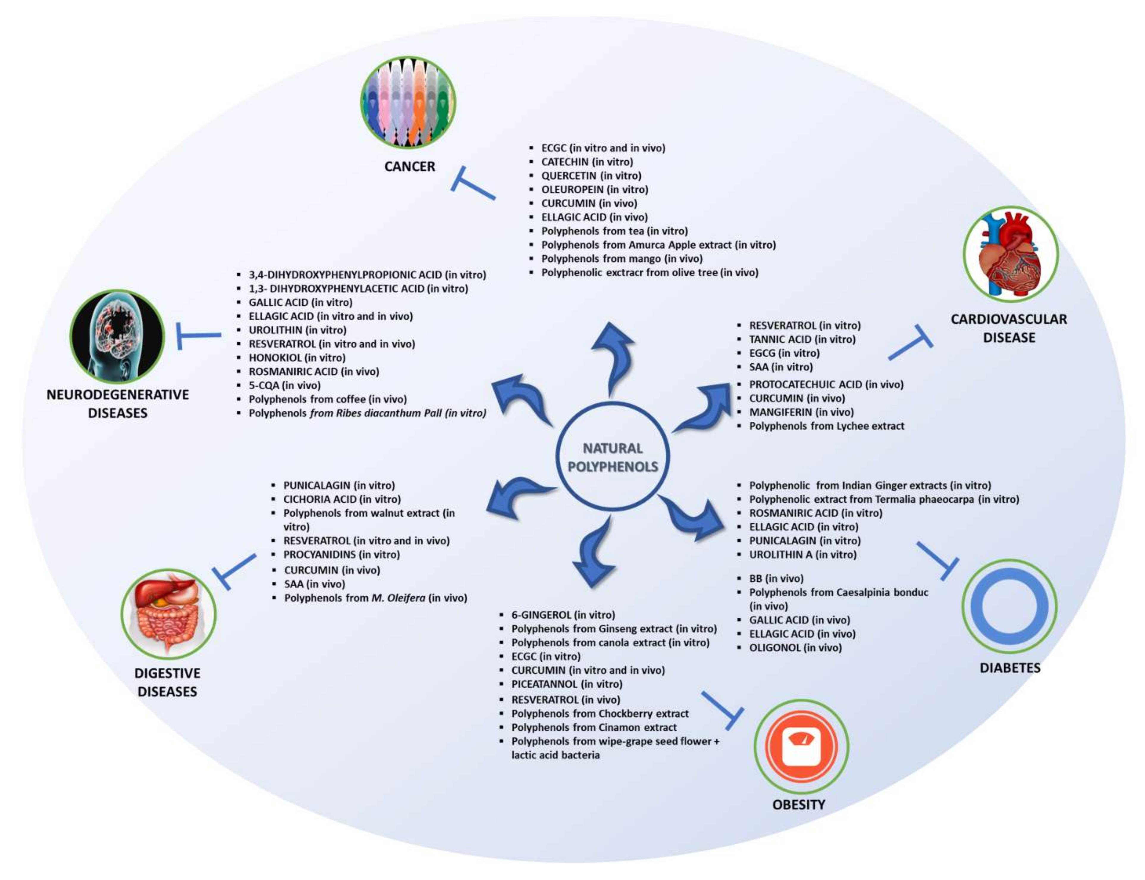Biomedicines 09 01074 g003
