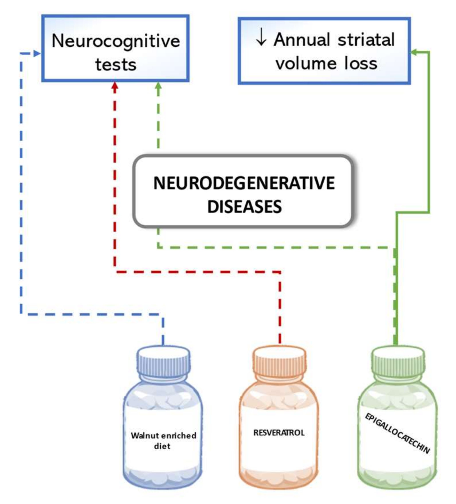 Biomedicines 09 01074 g007
