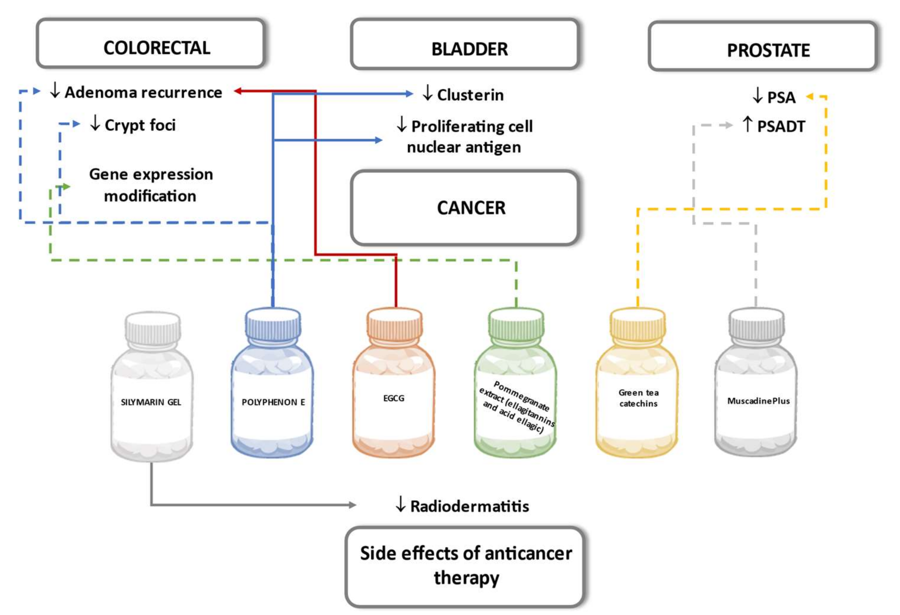 Biomedicines 09 01074 g009