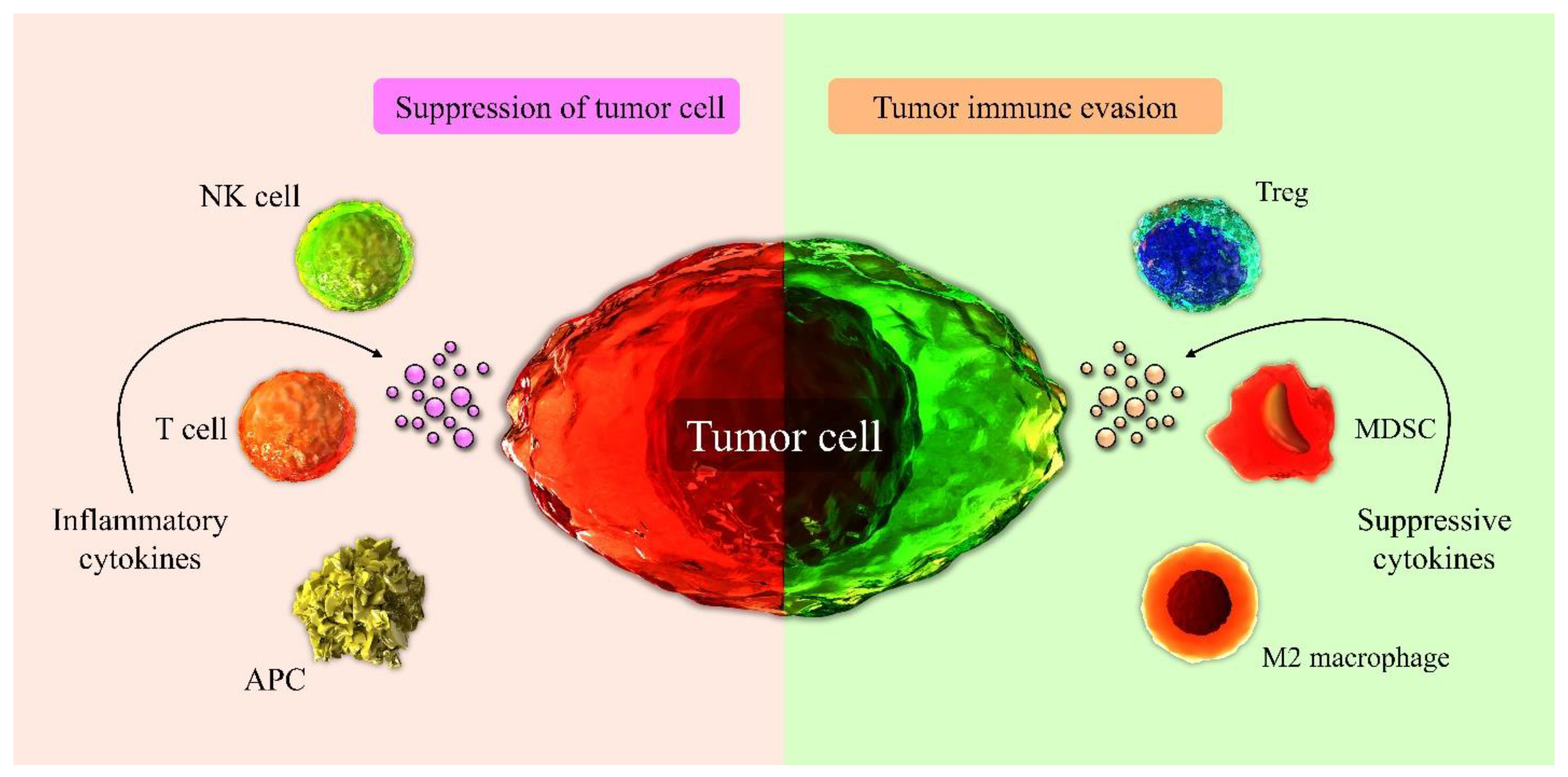 Biomedicines 09 01075 g001