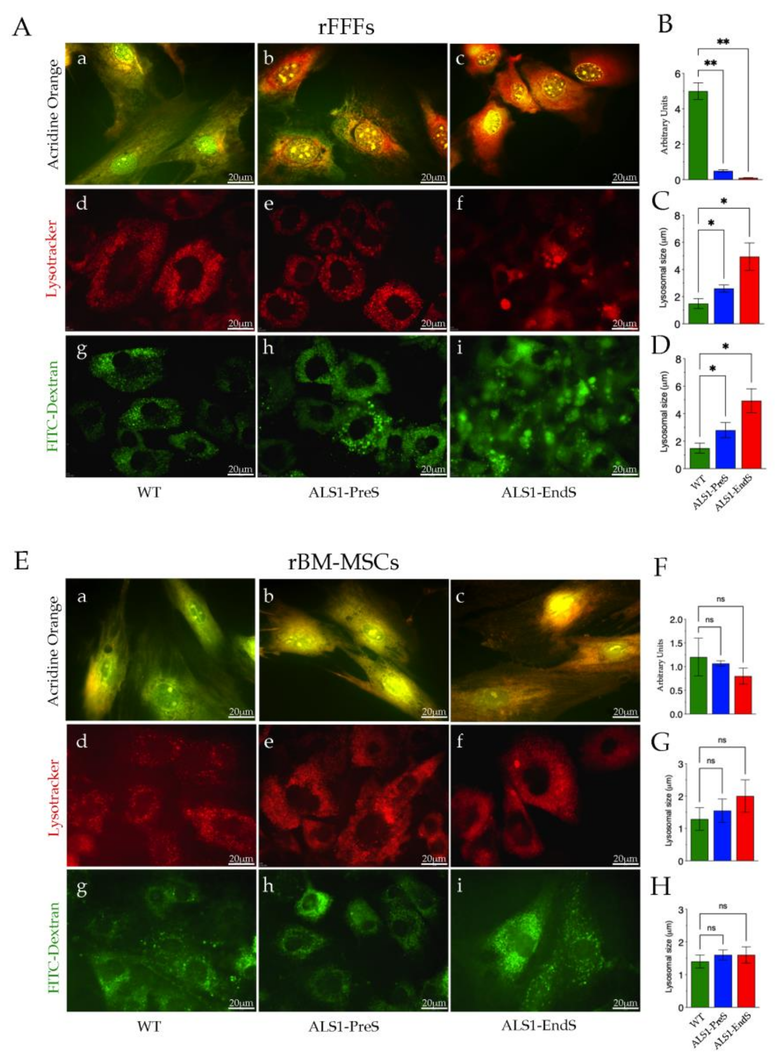 Biomedicines 09 01080 g007