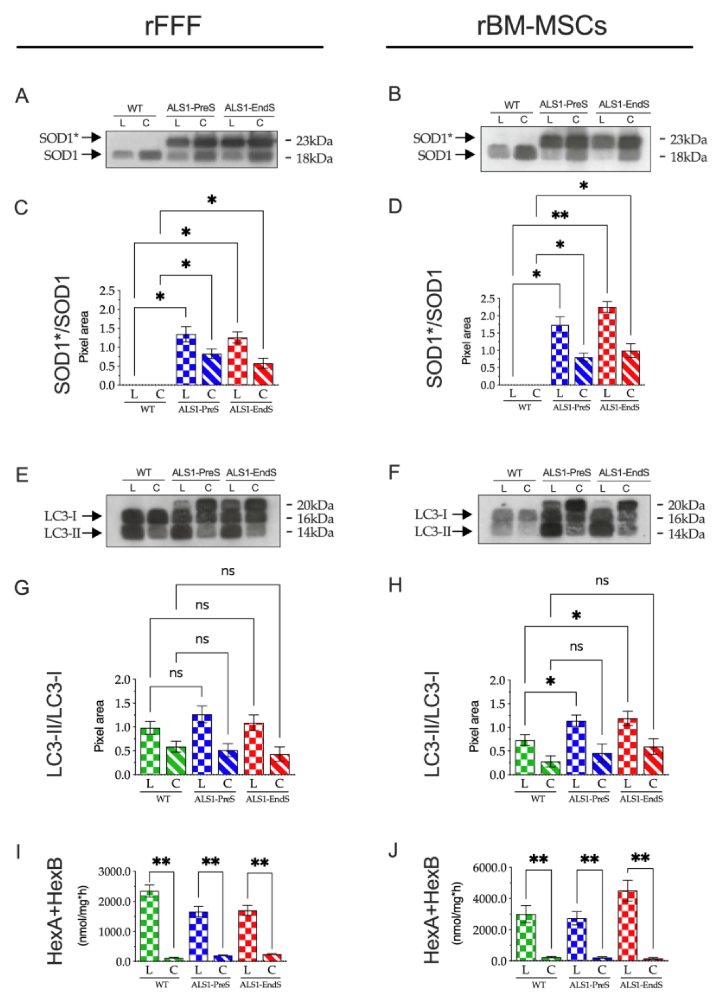 Biomedicines 09 01080 g008