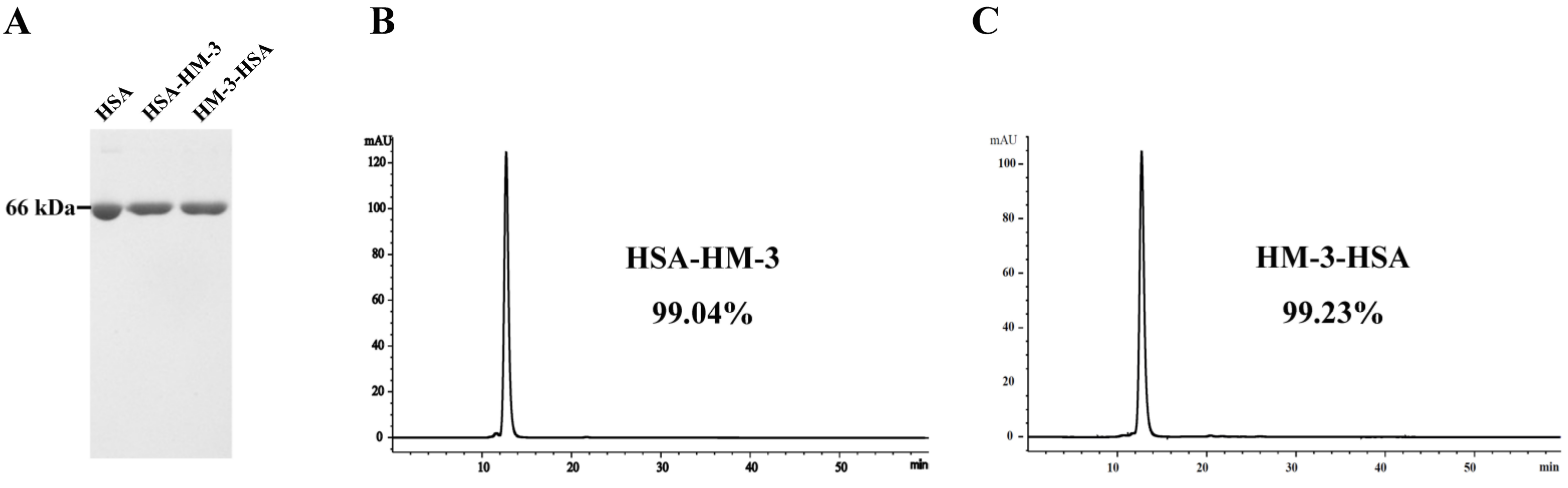 Biomedicines 09 01084 g002