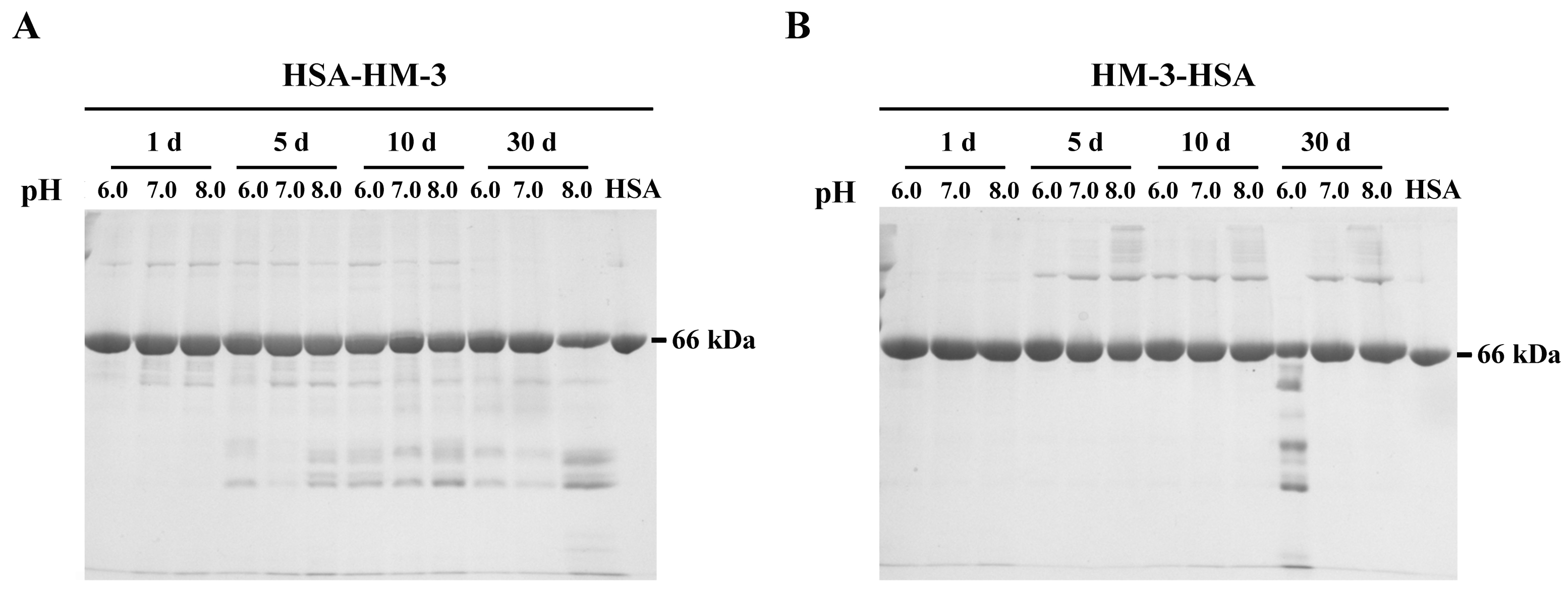 Biomedicines 09 01084 g003