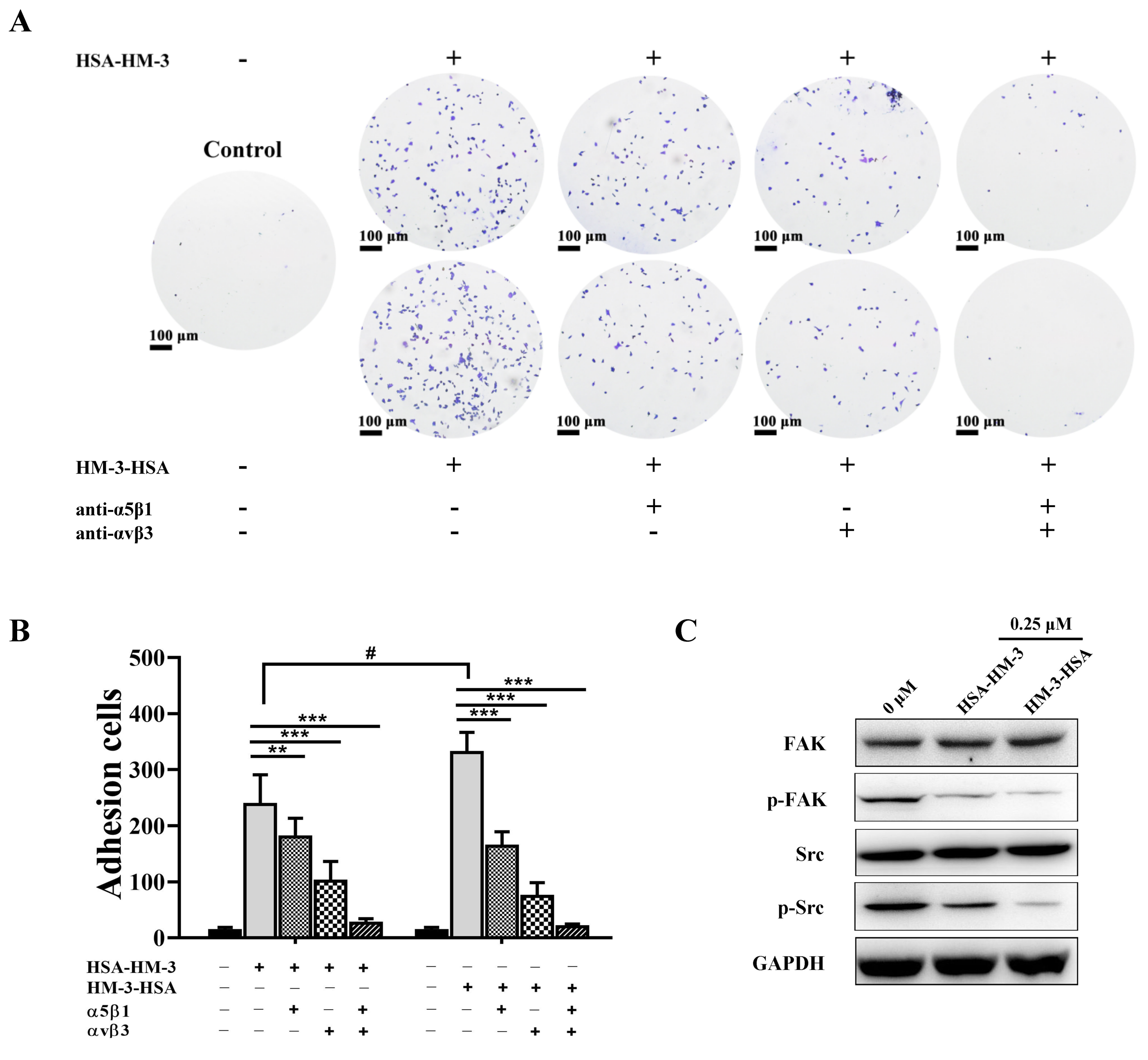 Biomedicines 09 01084 g007
