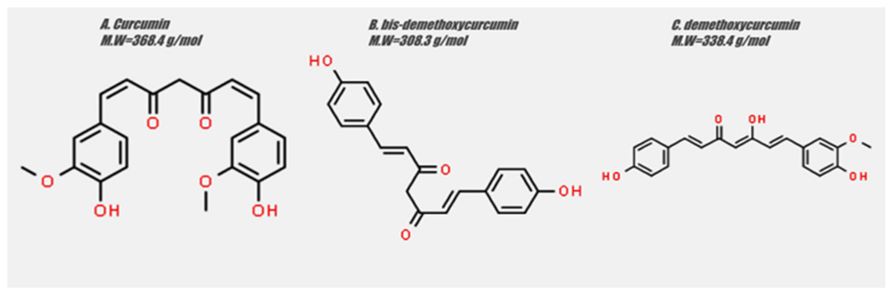 Biomedicines 09 01086 g001
