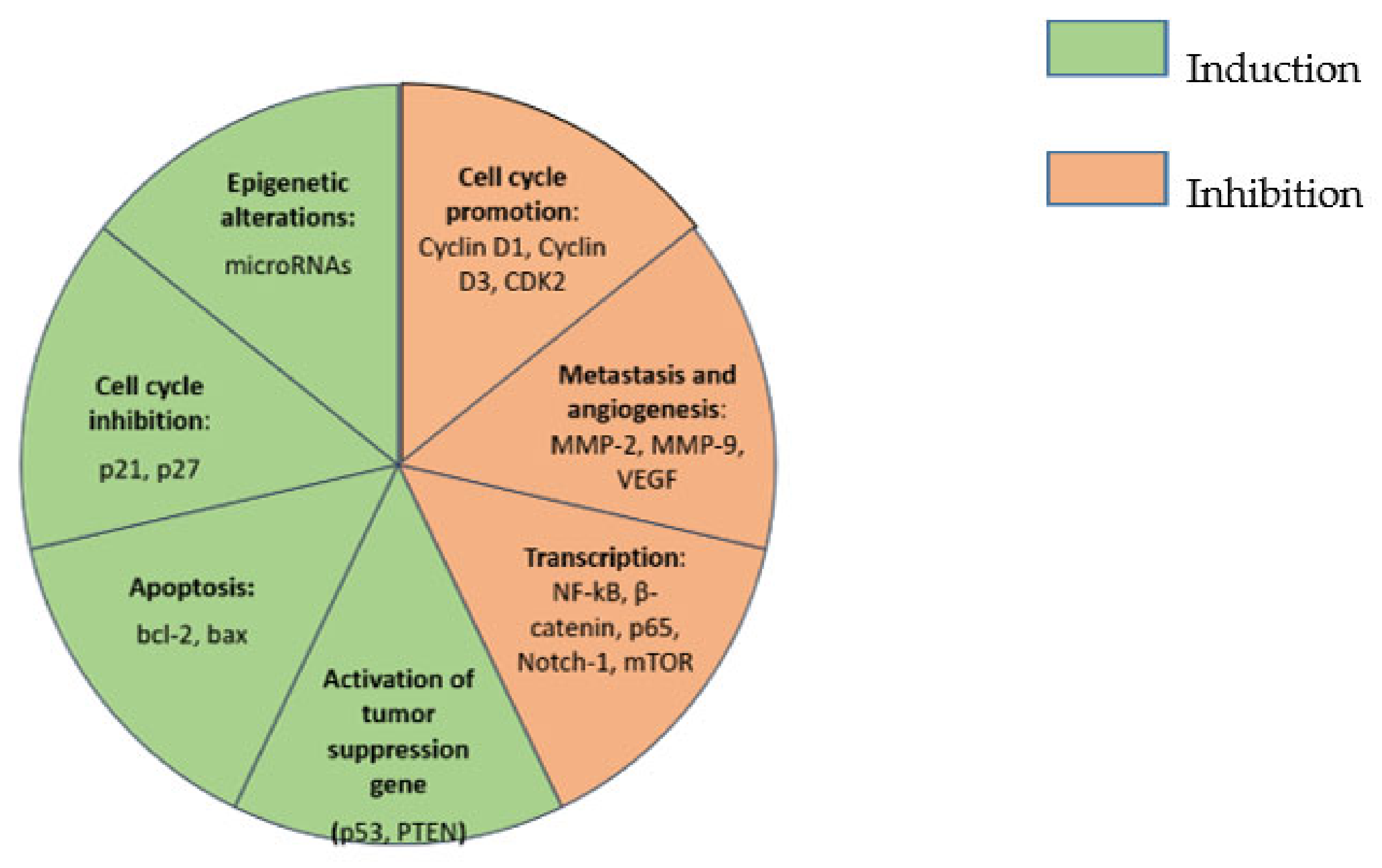 Biomedicines 09 01086 g002