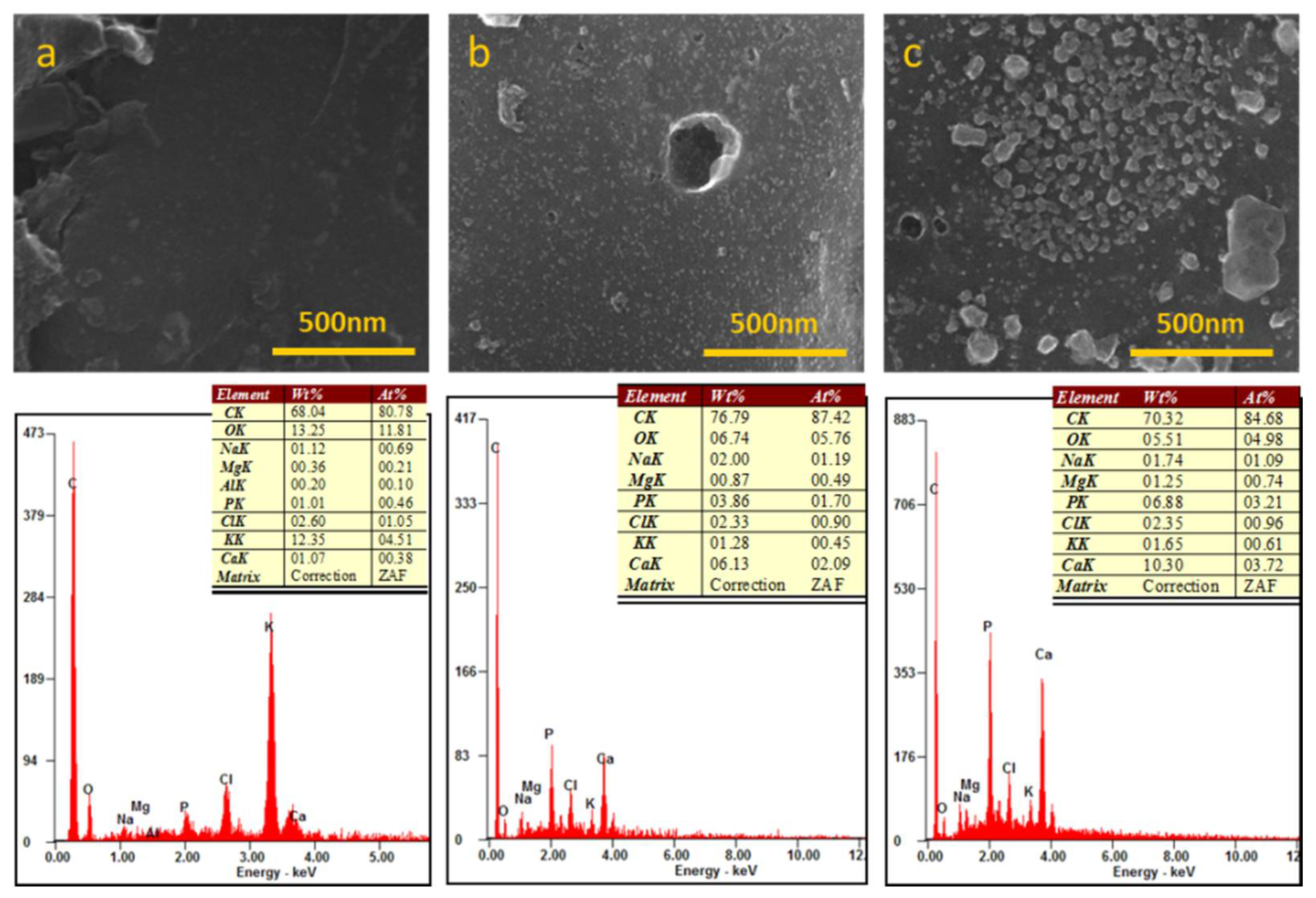 Biomedicines 09 01091 g009