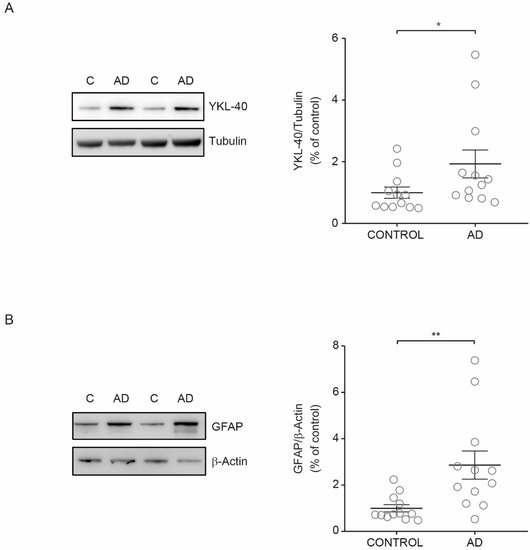 Biomedicines 09 01094 g004 550