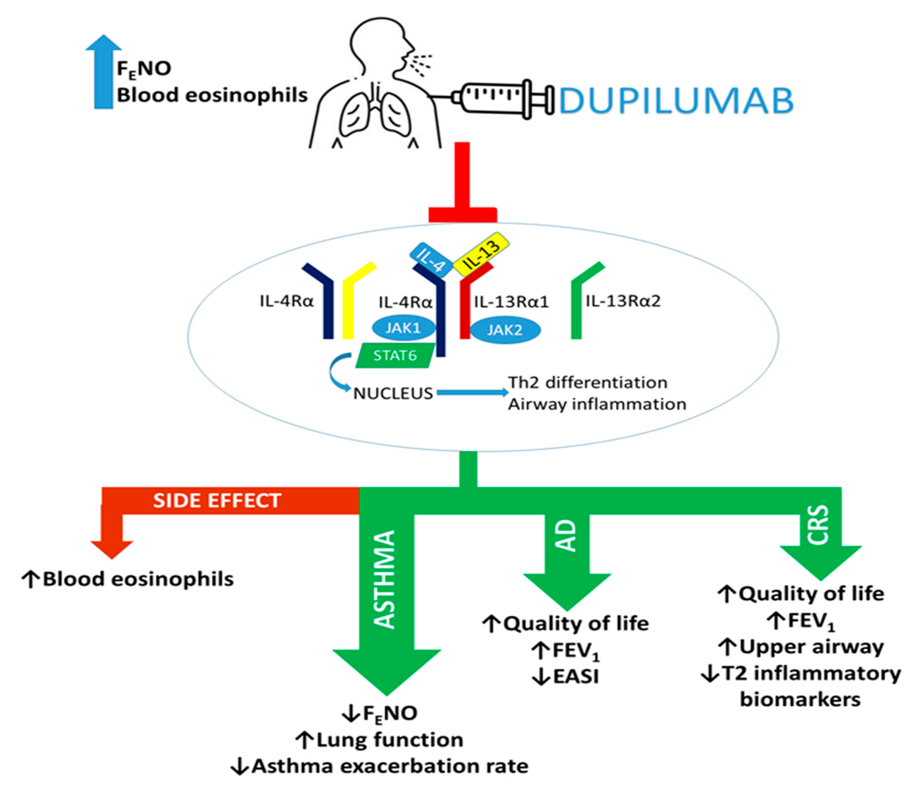 Dupilumab in Children with Uncontrolled Moderate-to-Severe Asthma