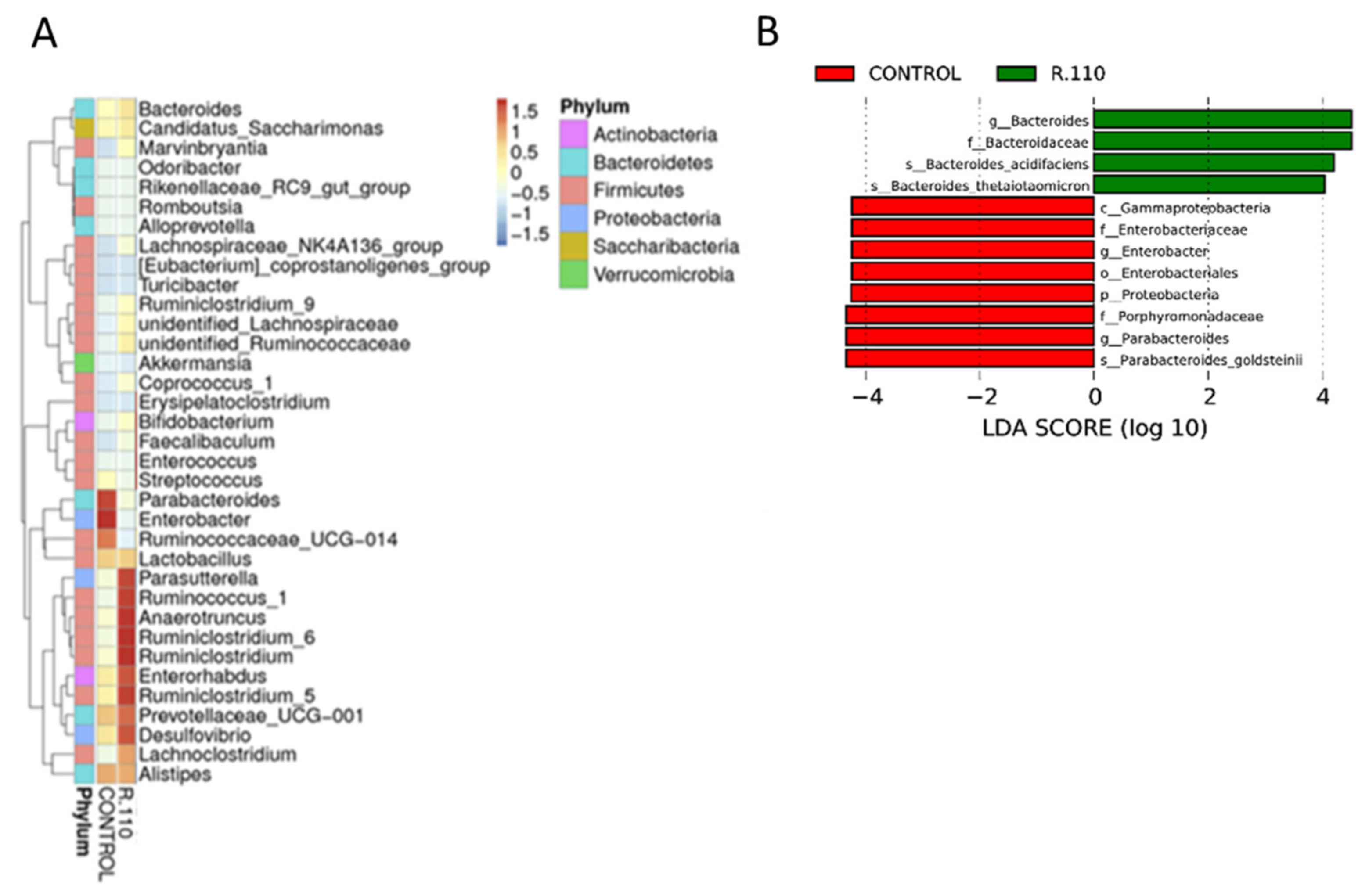 Biomedicines 09 01098 g006