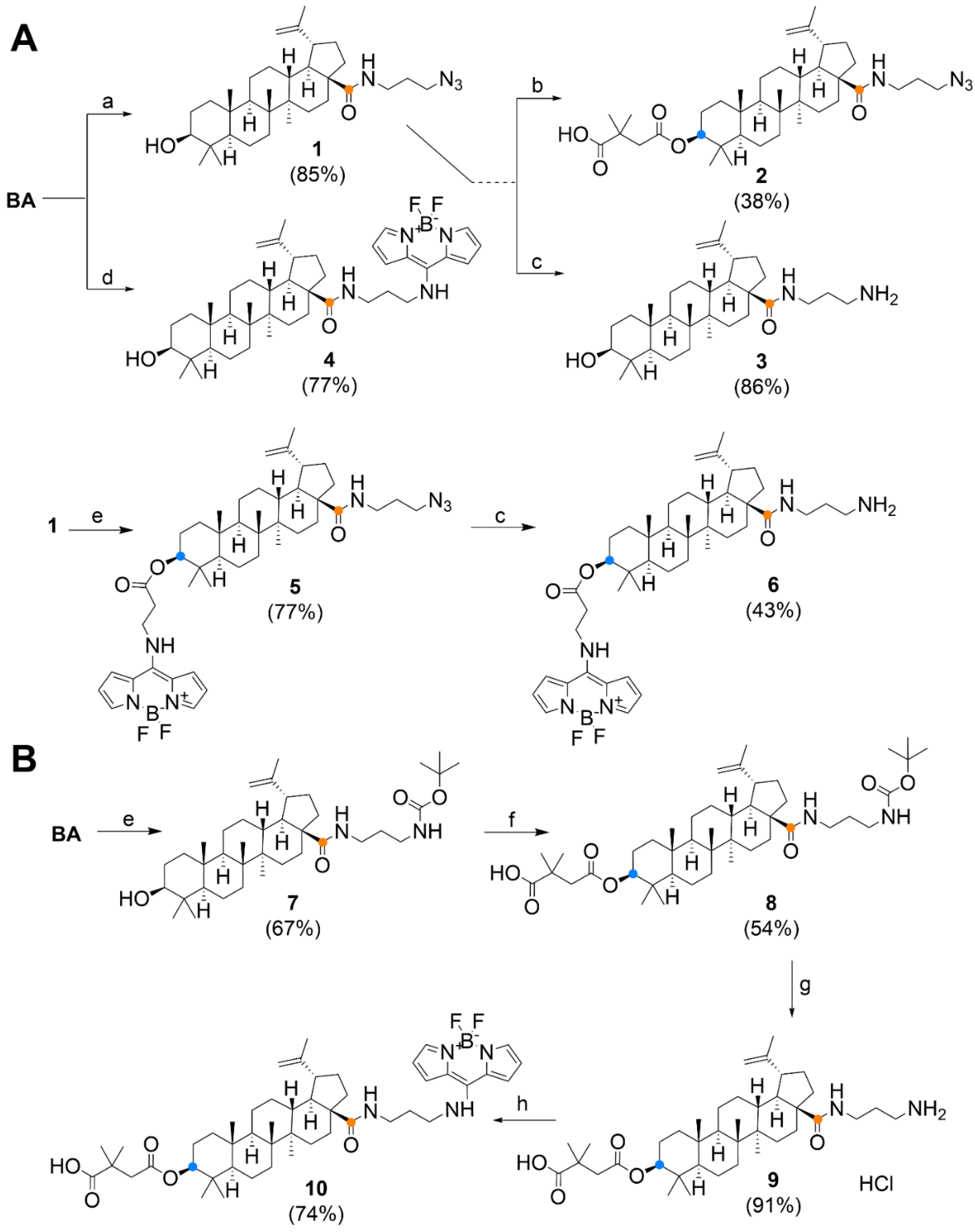 Biomedicines 09 01104 g003 Biomedicines 09 01104 g003
