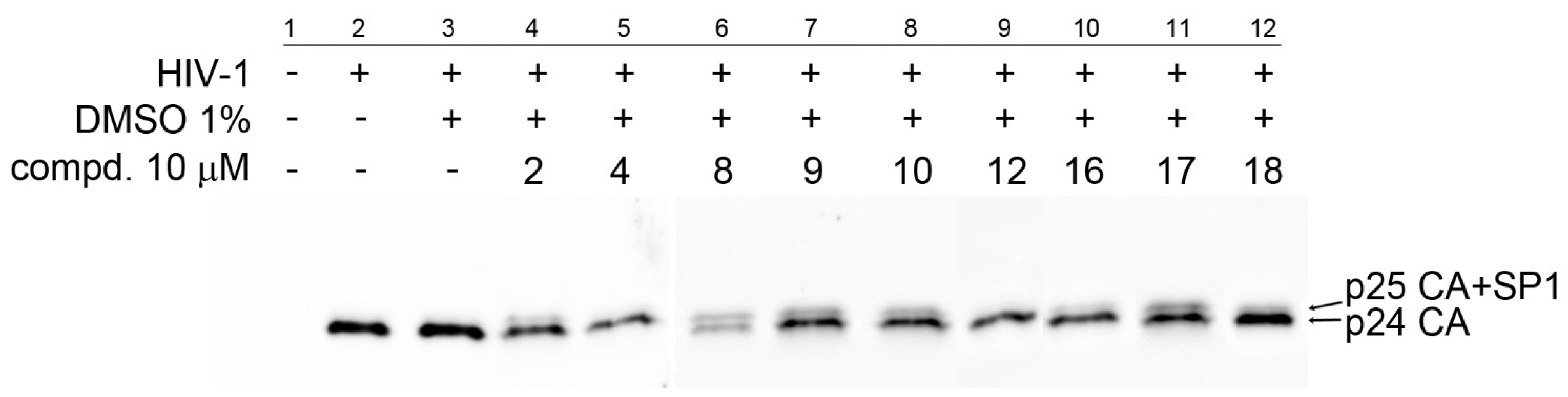 Biomedicines 09 01104 g006 Biomedicines 09 01104 g006