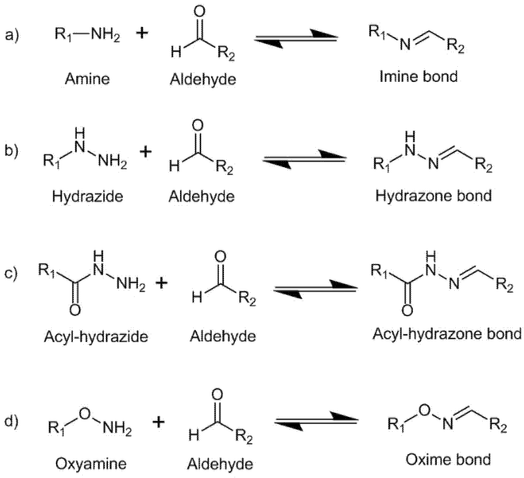 Biomedicines 09 01113 g004