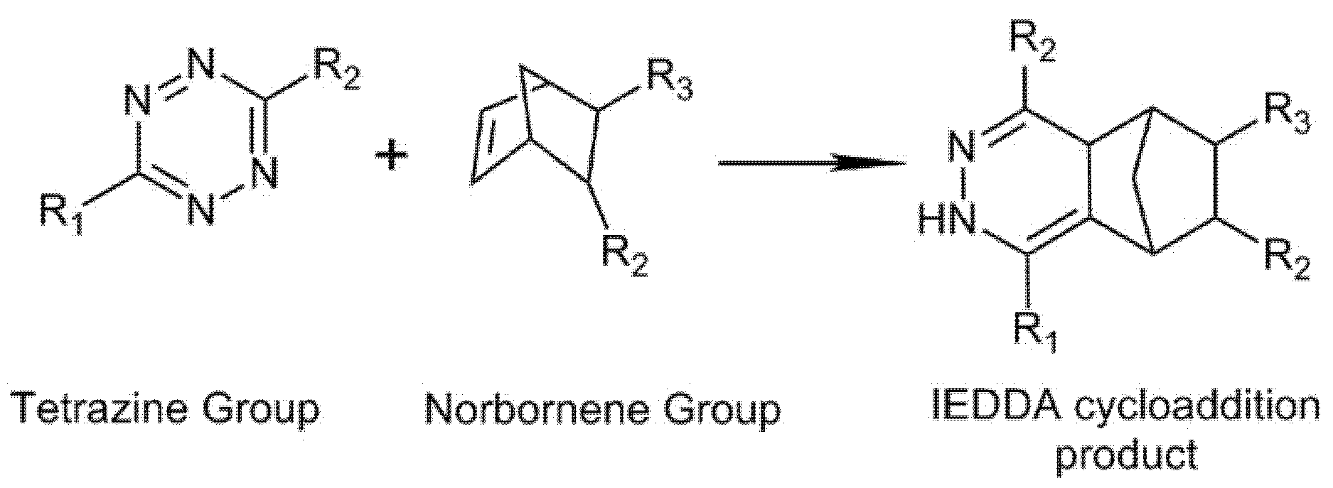 Biomedicines 09 01113 g008