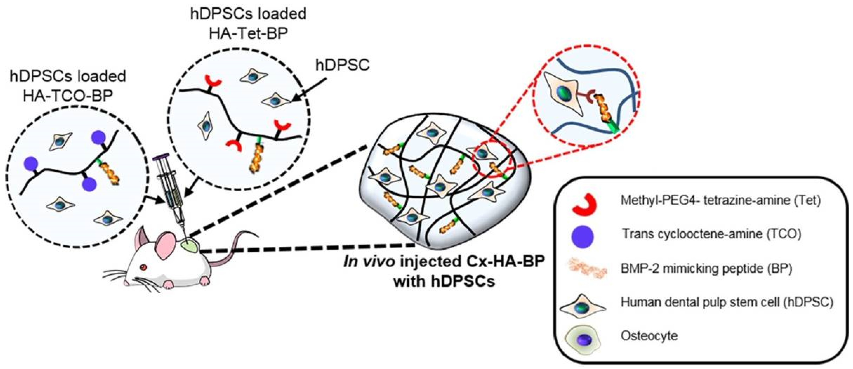 Biomedicines 09 01113 g009