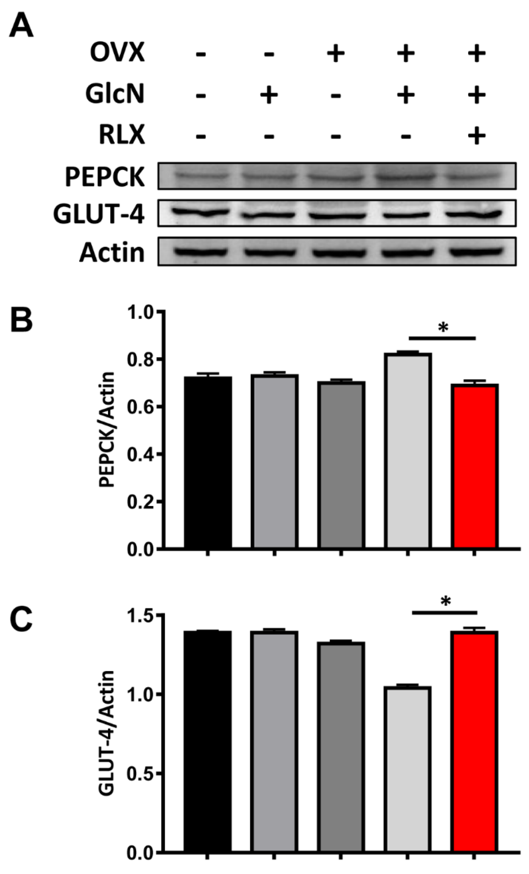 Biomedicines 09 01114 g004