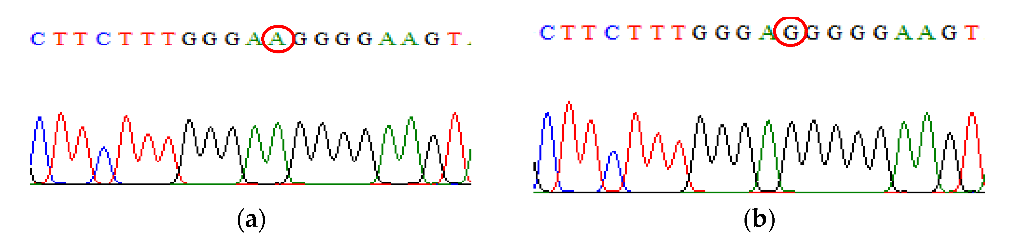 Biomedicines 09 01115 g003 Biomedicines 09 01115 g003