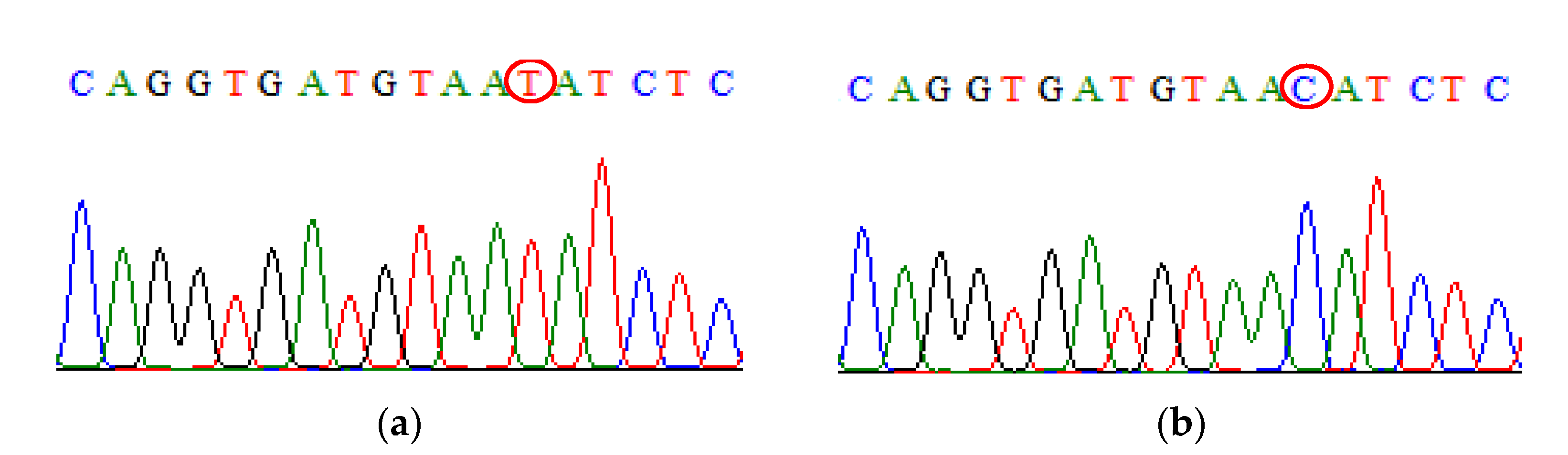 Biomedicines 09 01115 g004 Biomedicines 09 01115 g004