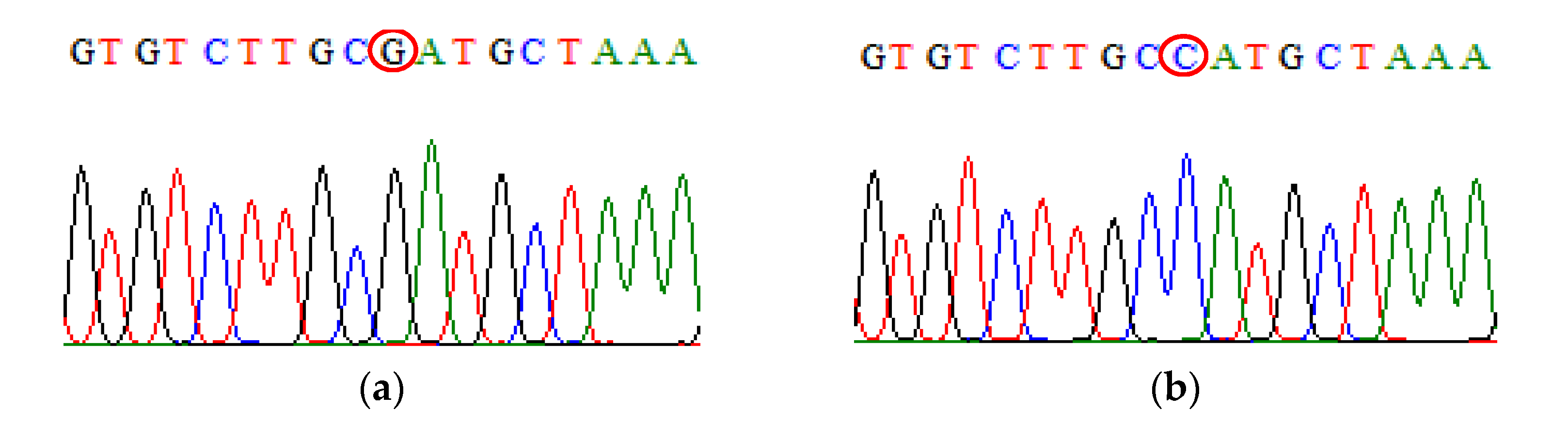Biomedicines 09 01115 g005 Biomedicines 09 01115 g005
