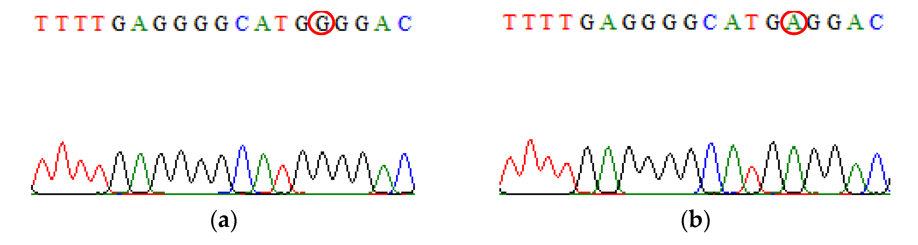 Biomedicines 09 01115 g006 Biomedicines 09 01115 g006