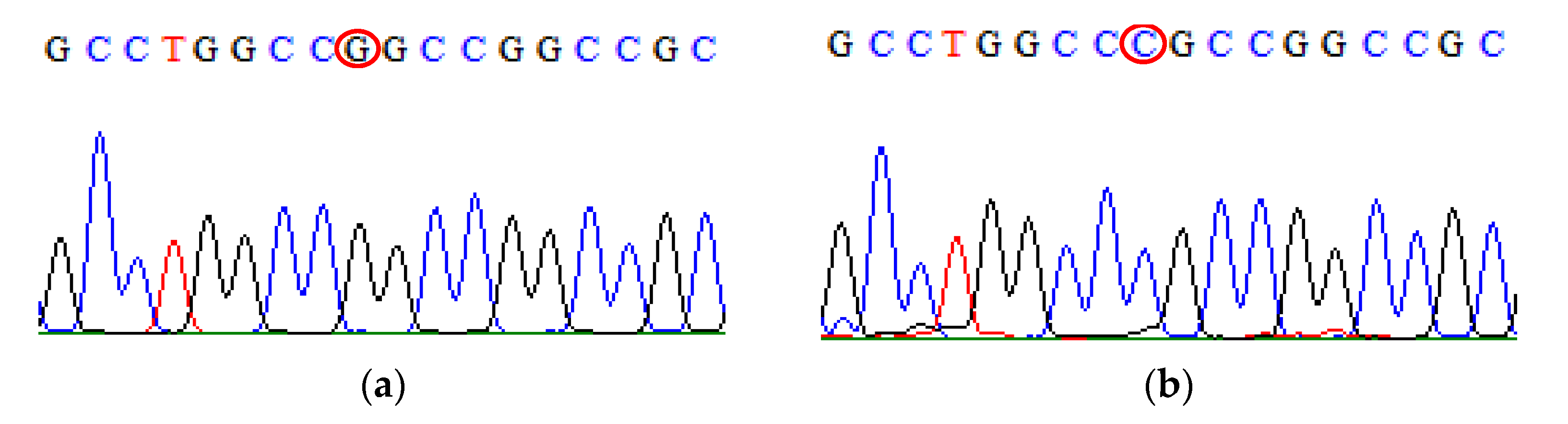 Biomedicines 09 01115 g007 Biomedicines 09 01115 g007
