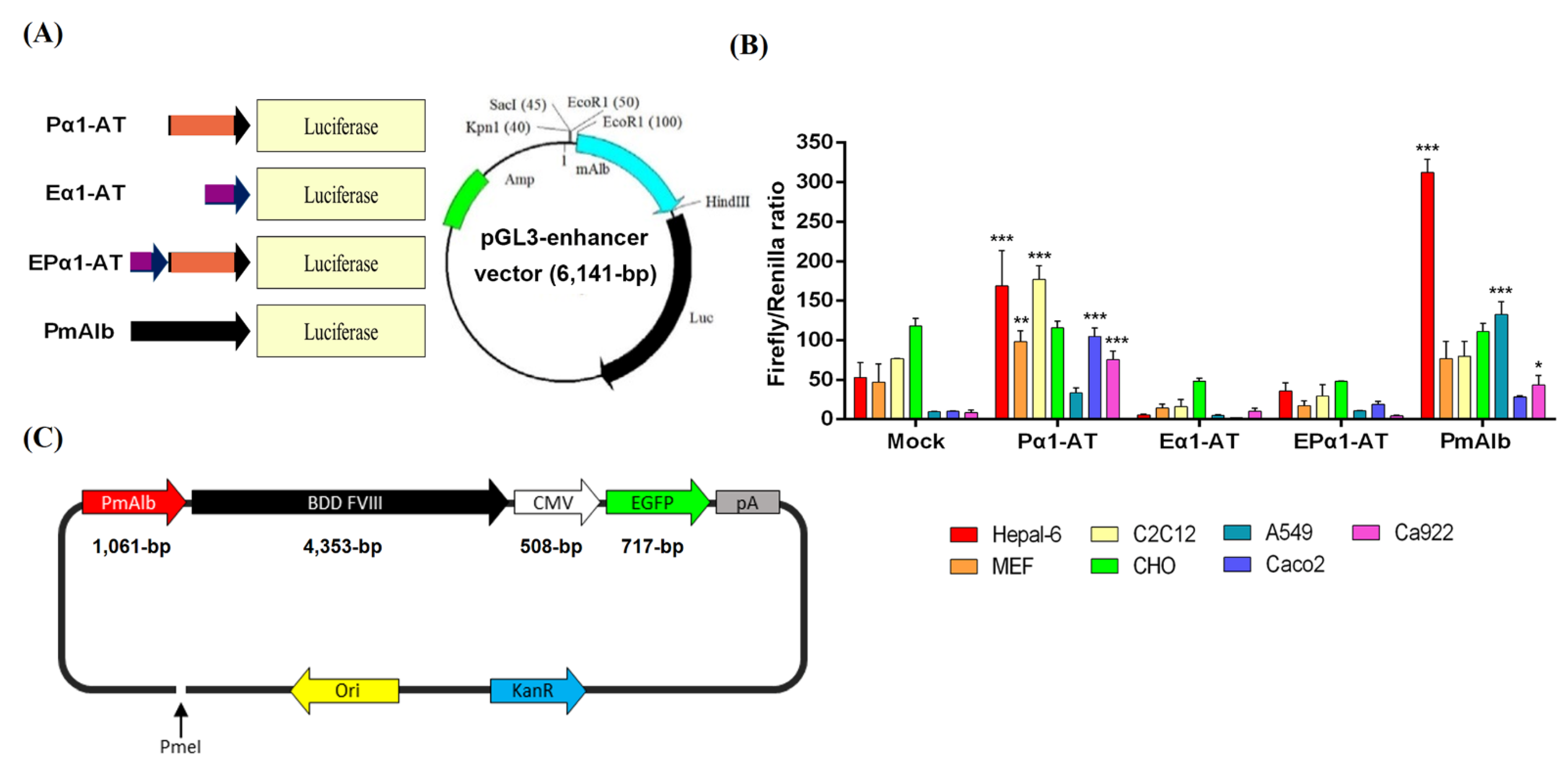 Biomedicines 09 01116 g001