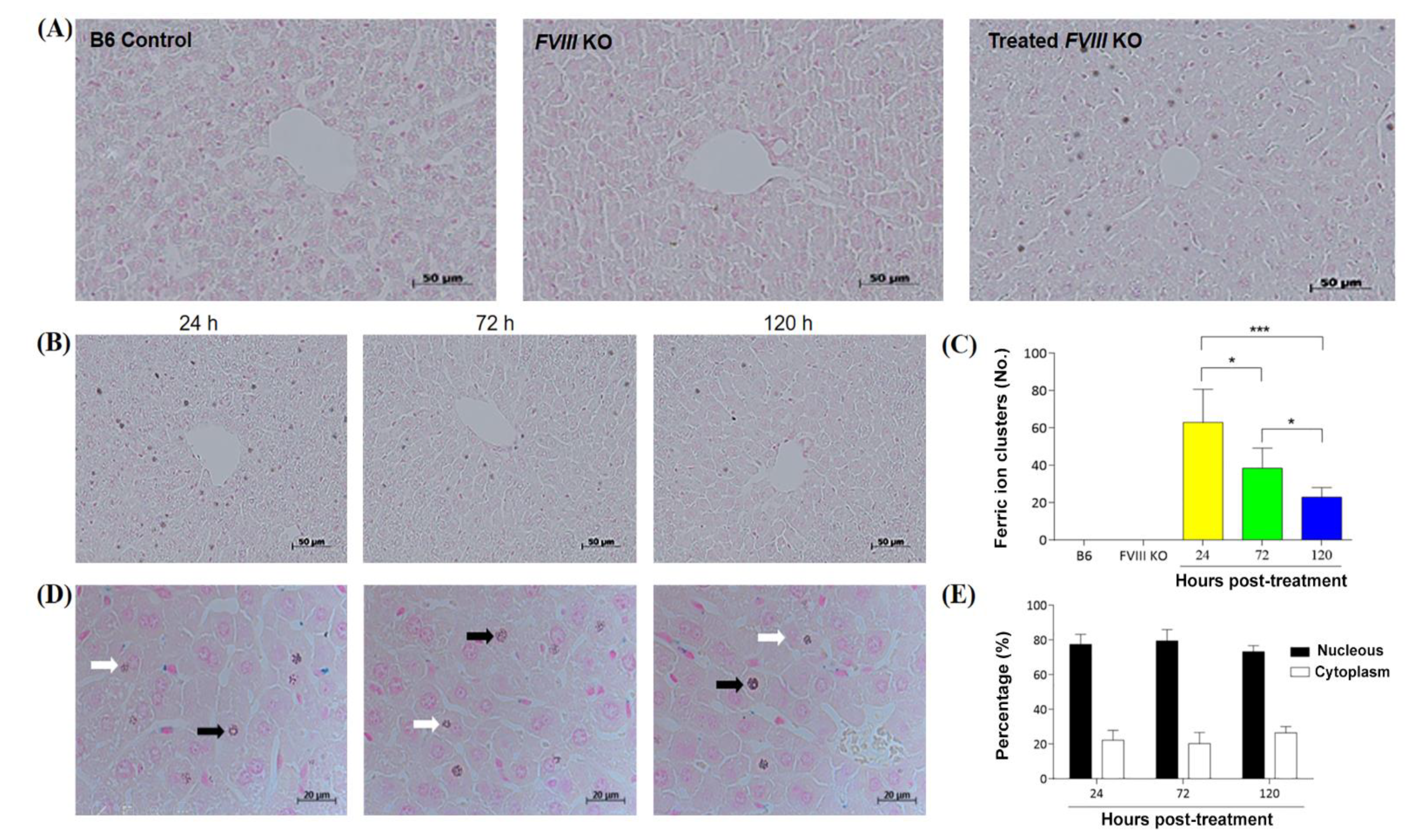 Biomedicines 09 01116 g006