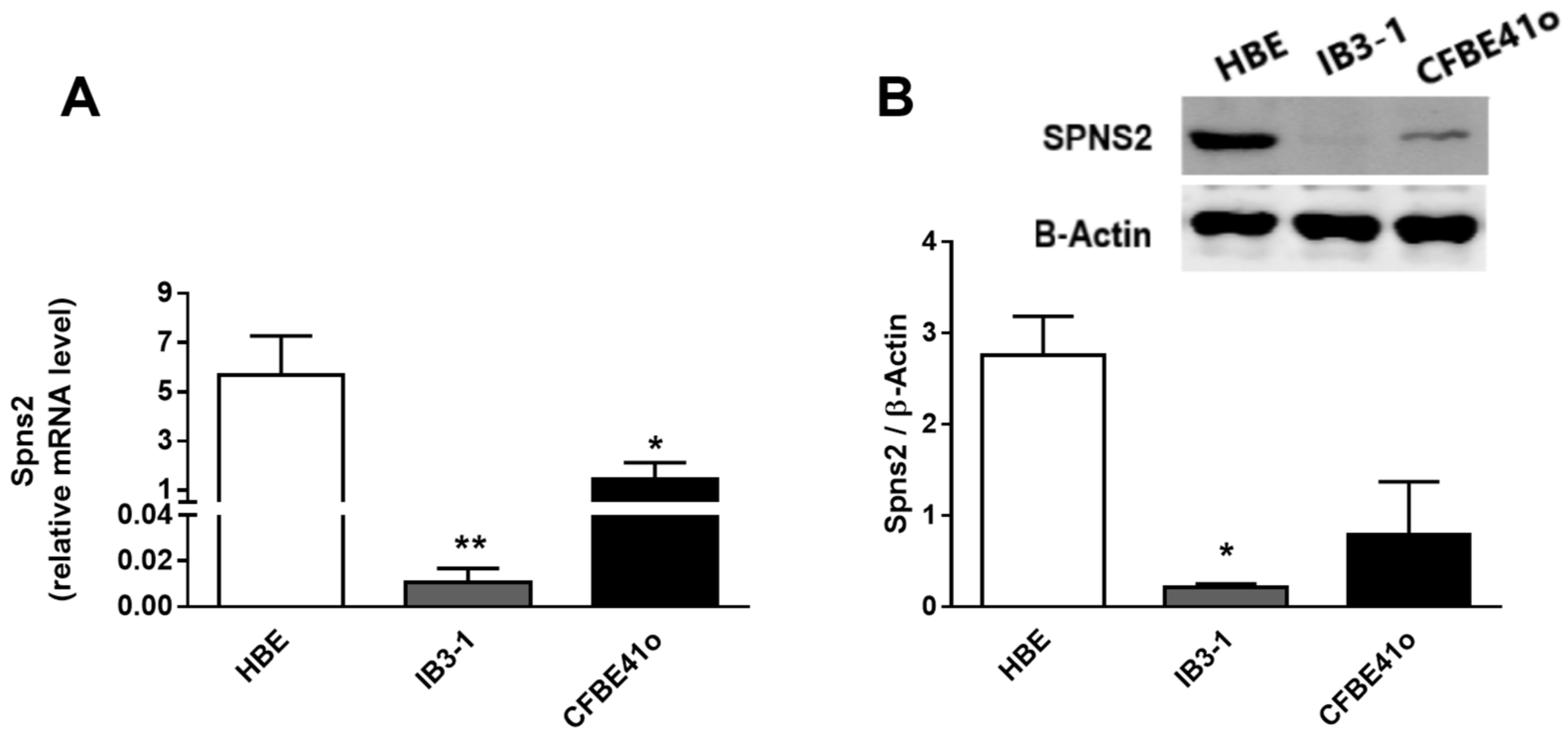 Biomedicines 09 01121 g003