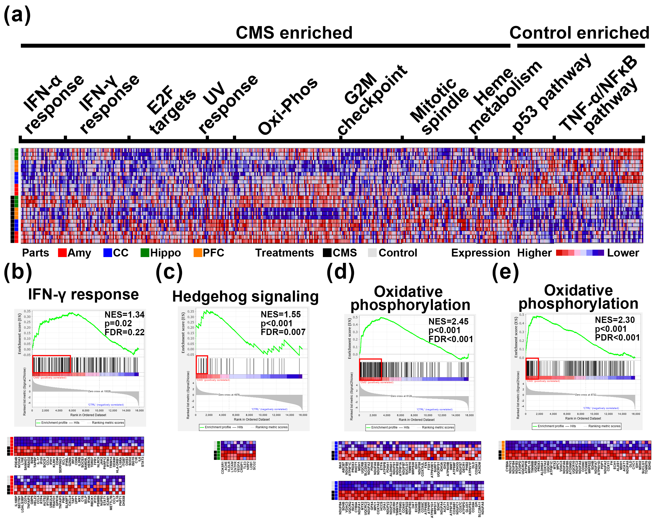 Biomedicines 09 01124 g004 Biomedicines 09 01124 g004