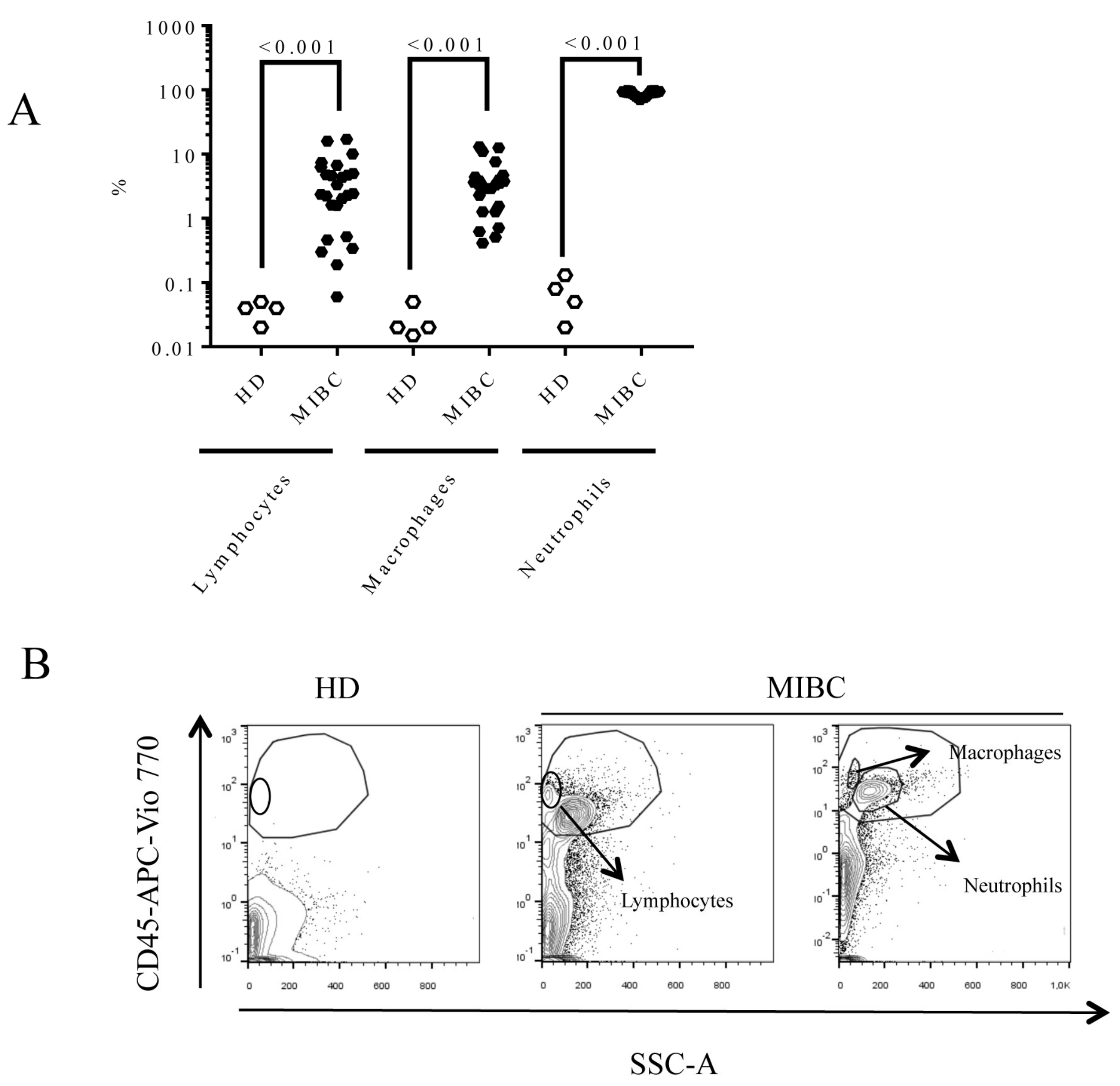 Biomedicines 09 01125 g001