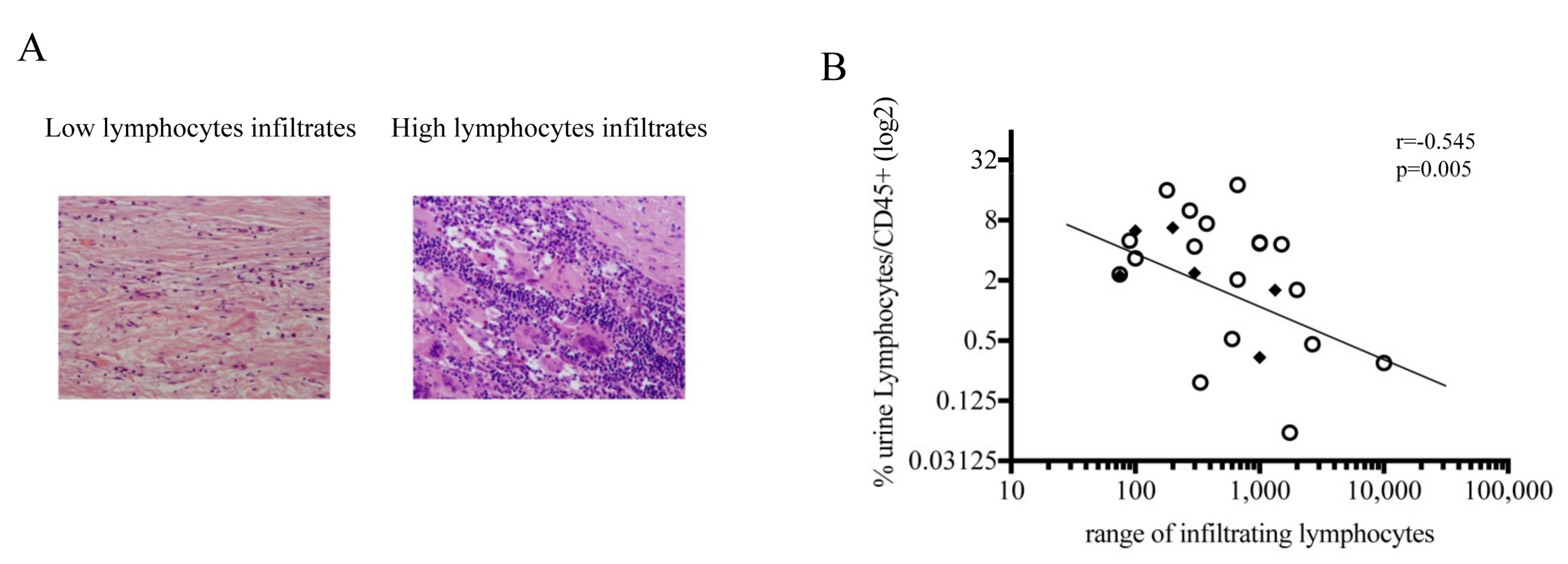 Biomedicines 09 01125 g005