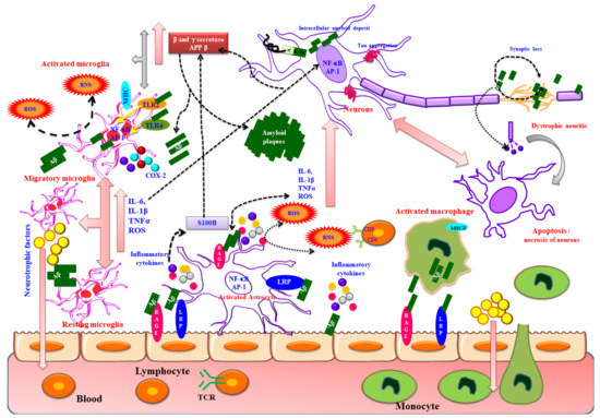 たかはしブラウン Deciphering the Role of Virus Receptors in Plant–Virus