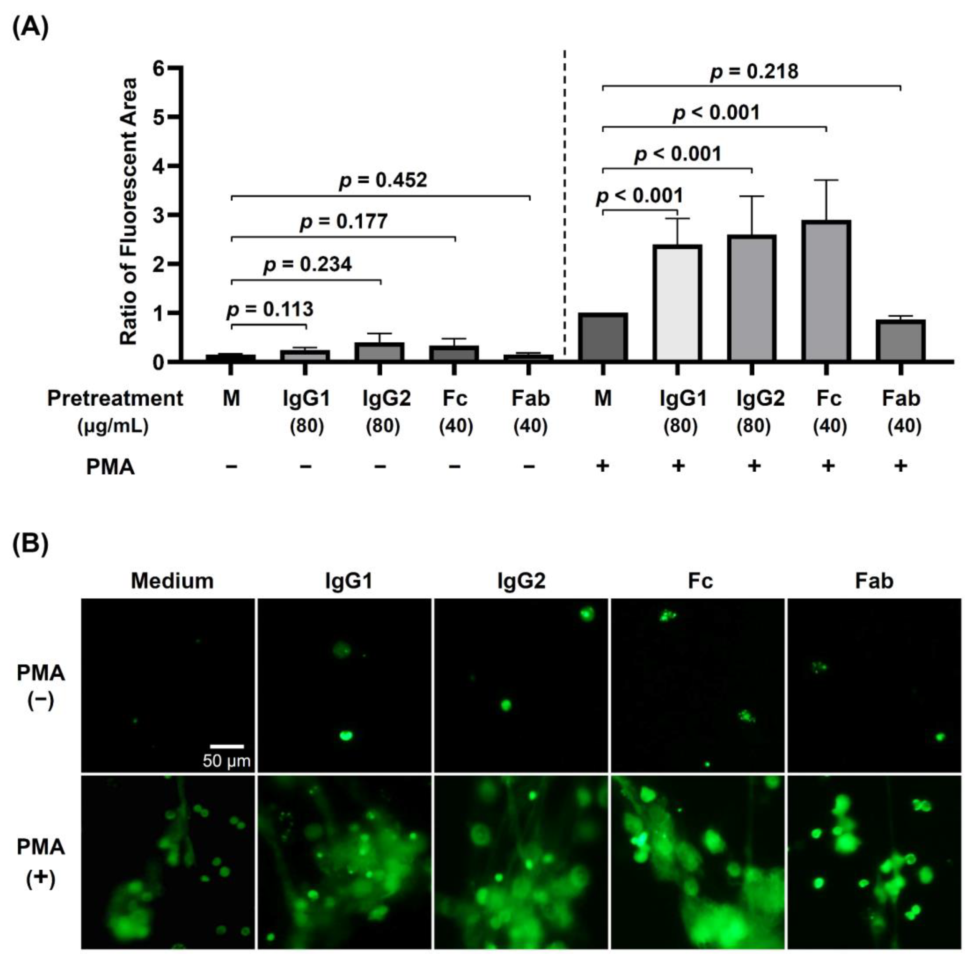 Biomedicines 09 01127 g003