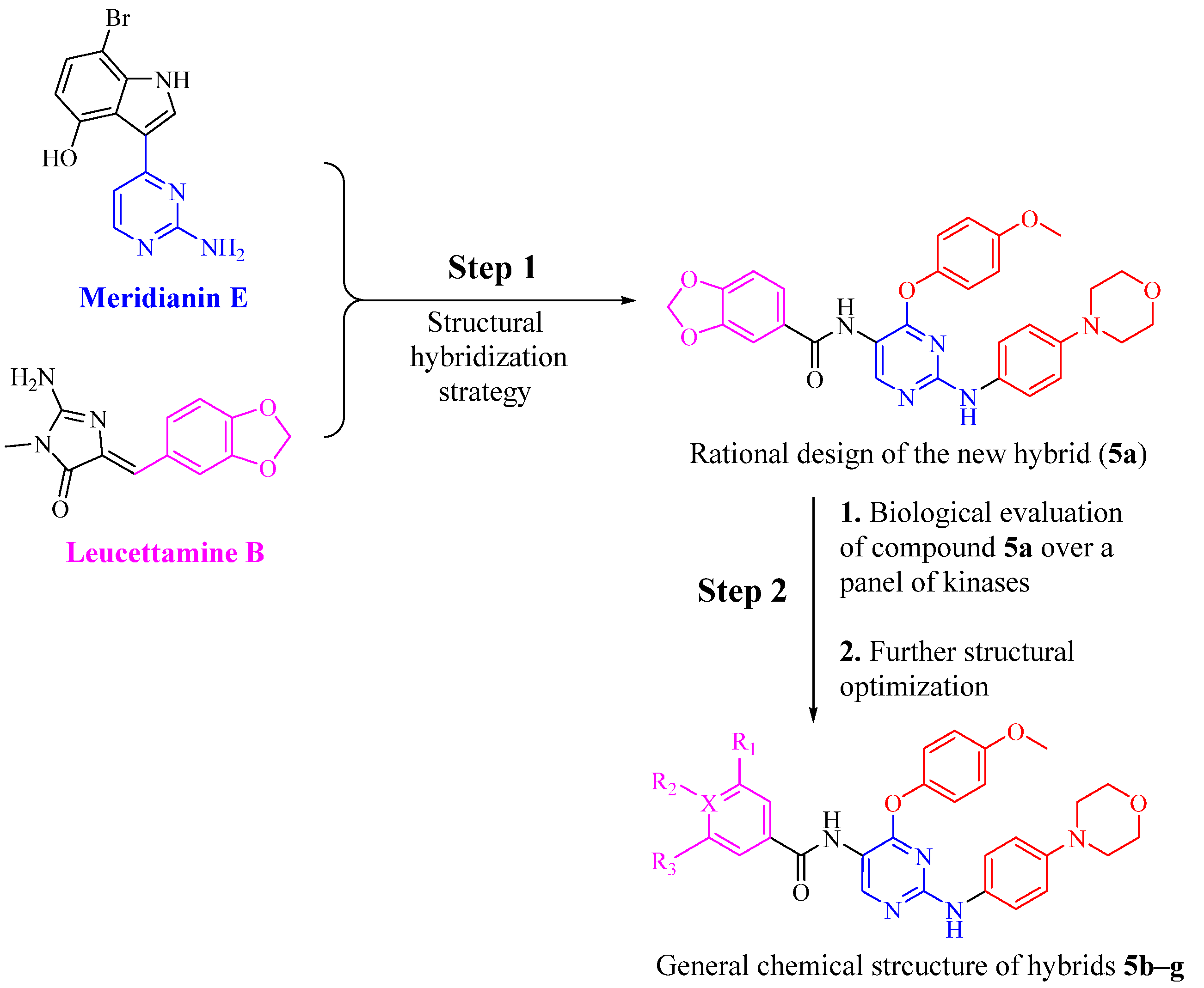 Biomedicines 09 01131 g001 550