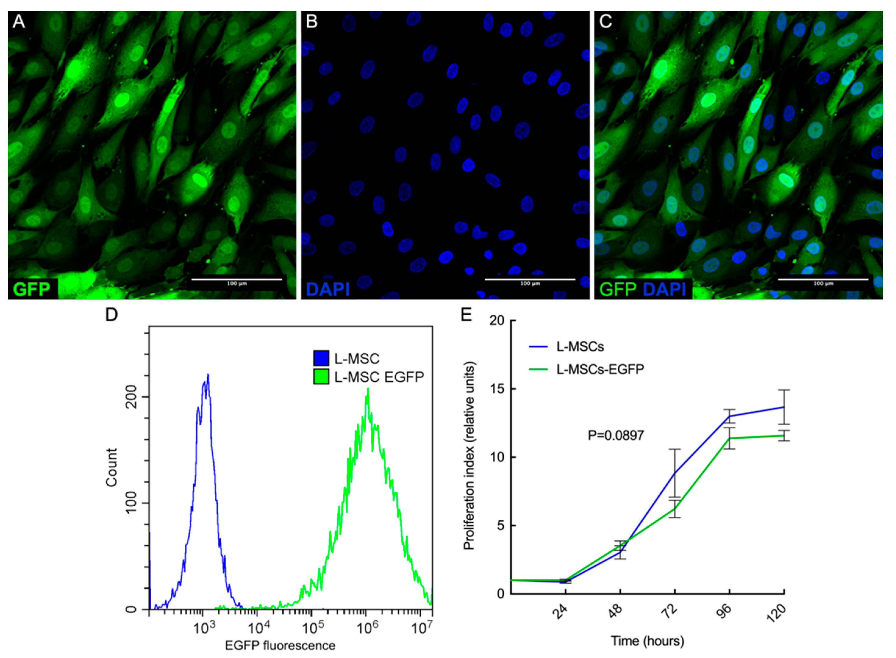 Biomedicines 09 01134 g002