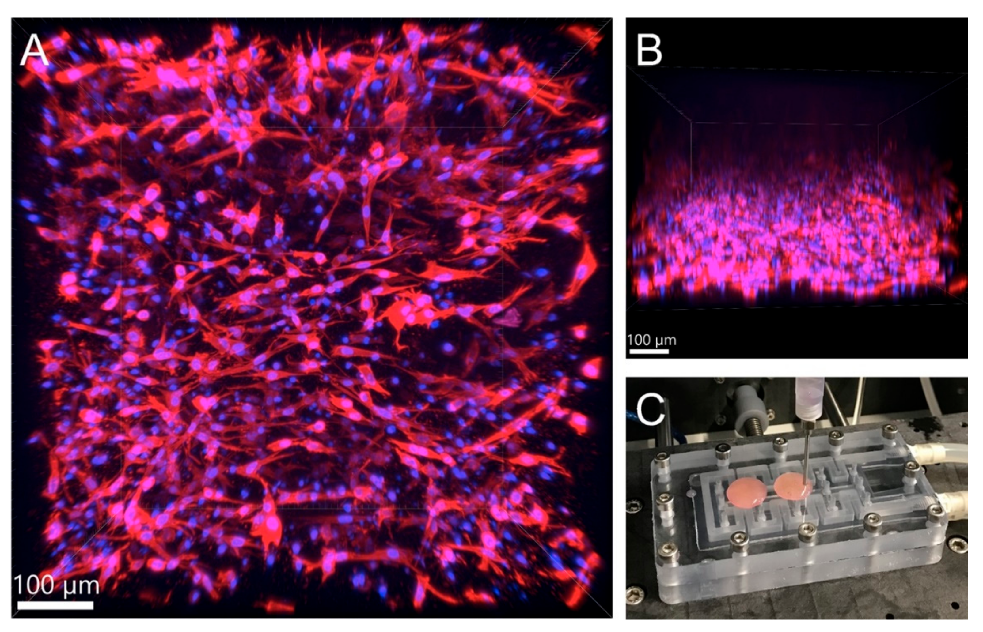 Biomedicines 09 01137 g005