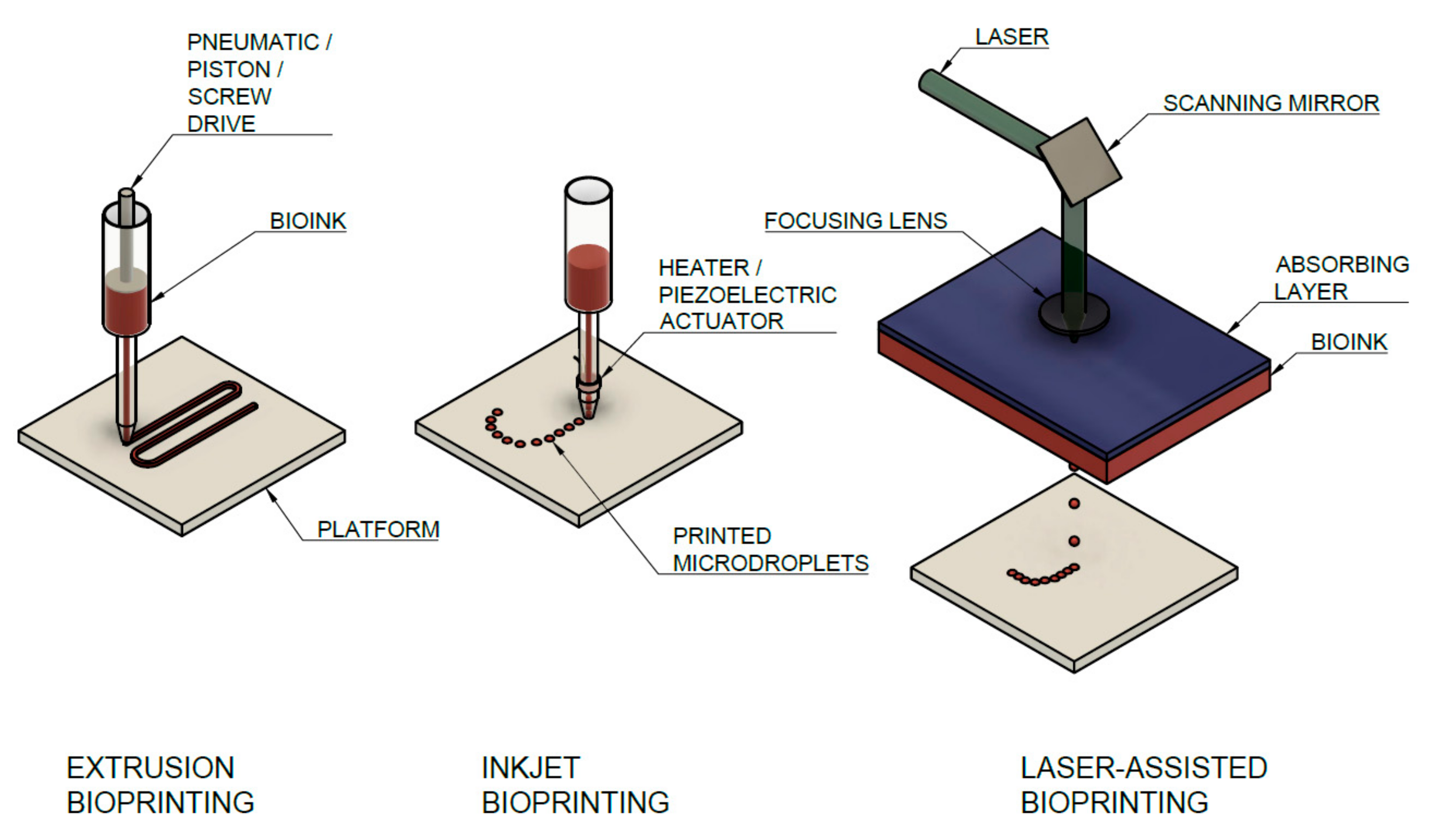 Biomedicines 09 01137 g007