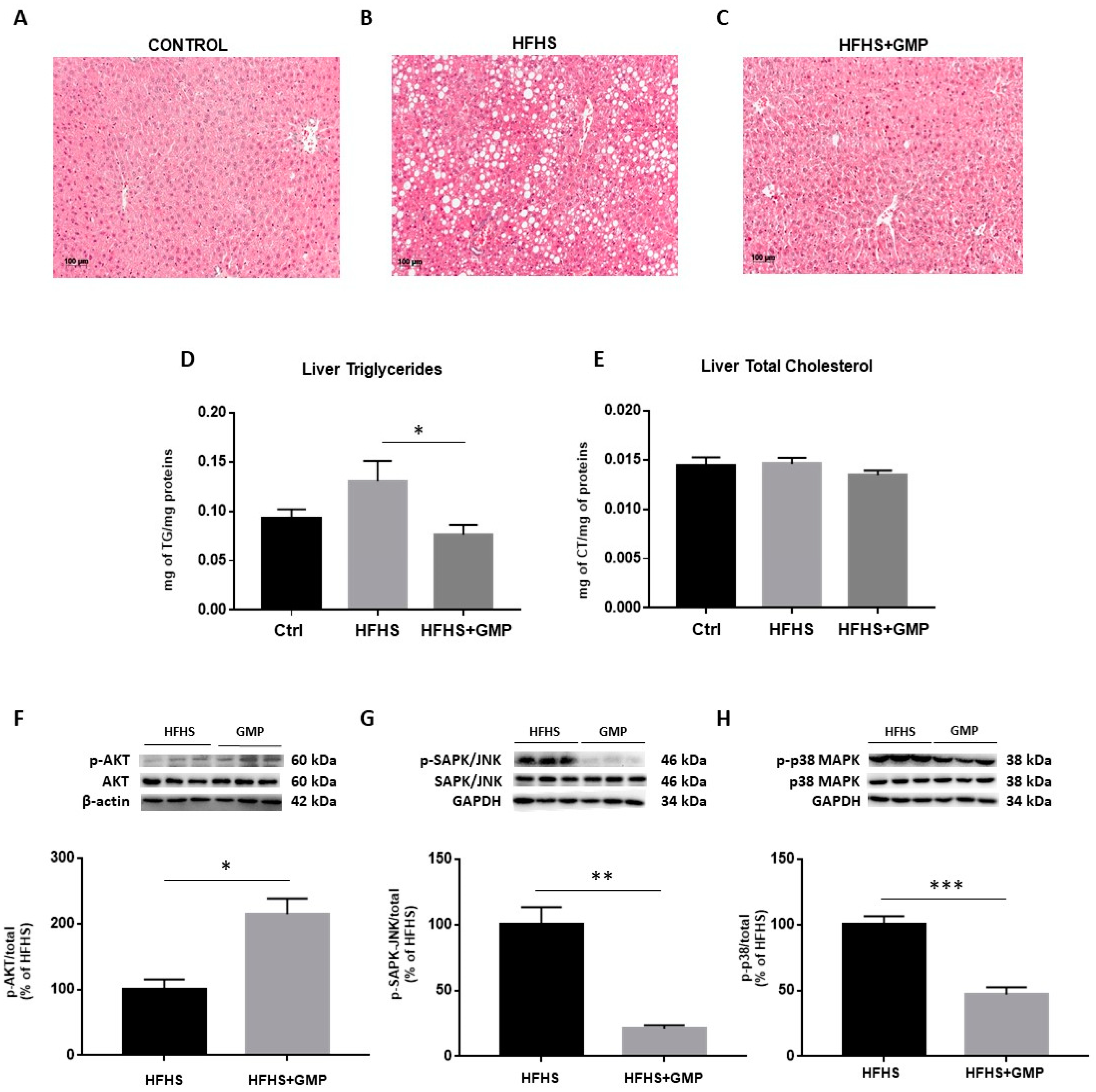 Biomedicines 09 01140 g004