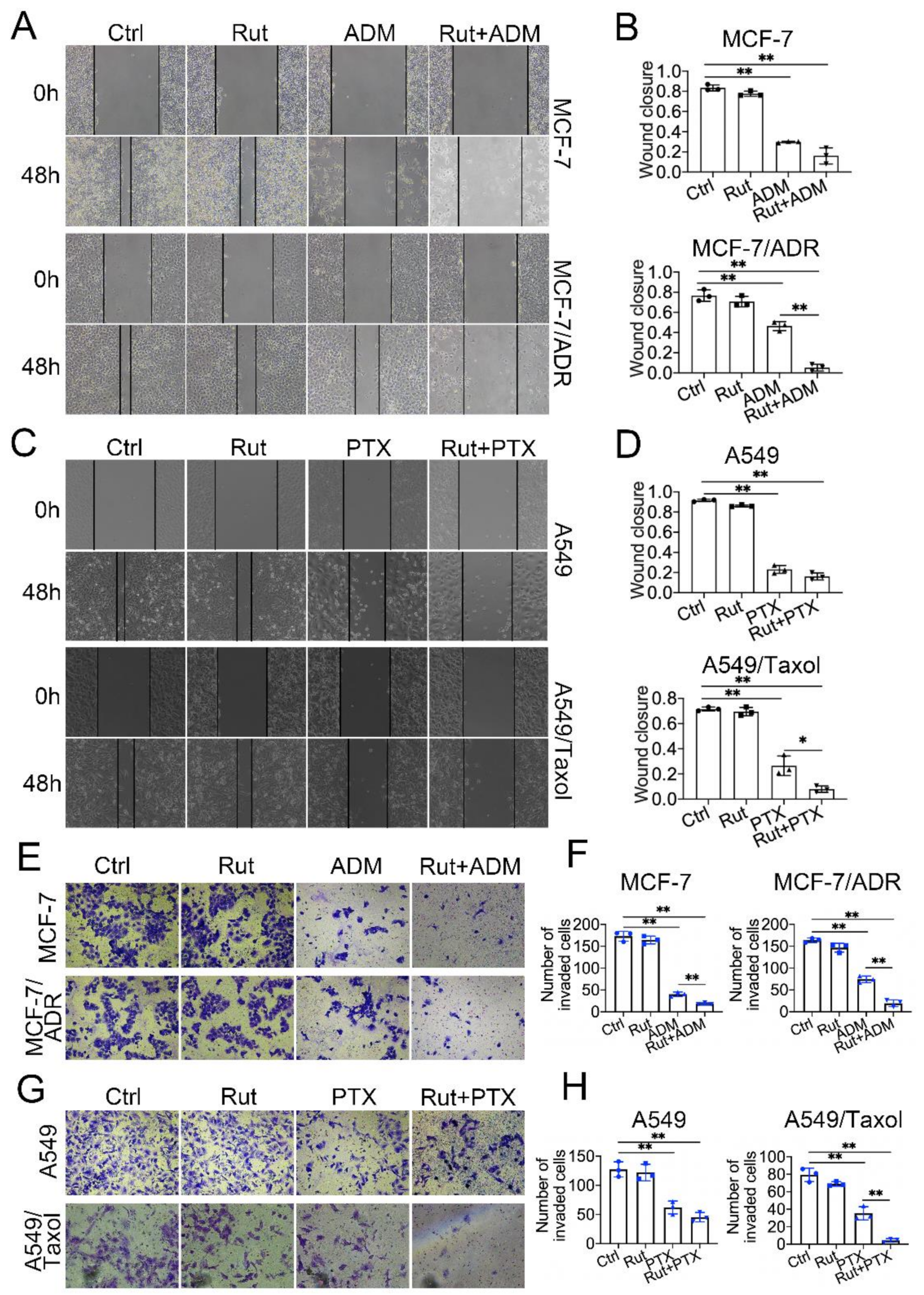 Biomedicines 09 01143 g005