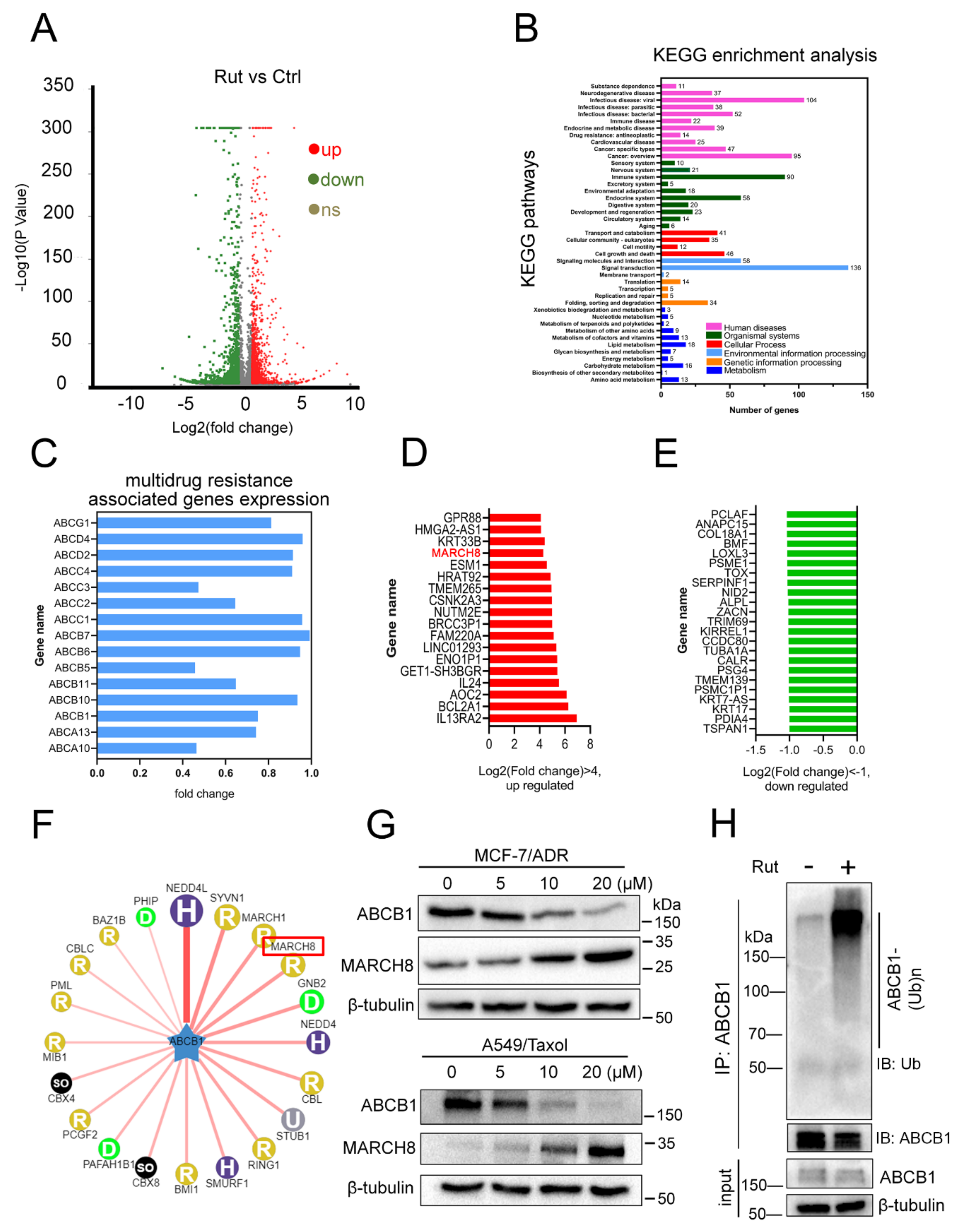 Biomedicines 09 01143 g006