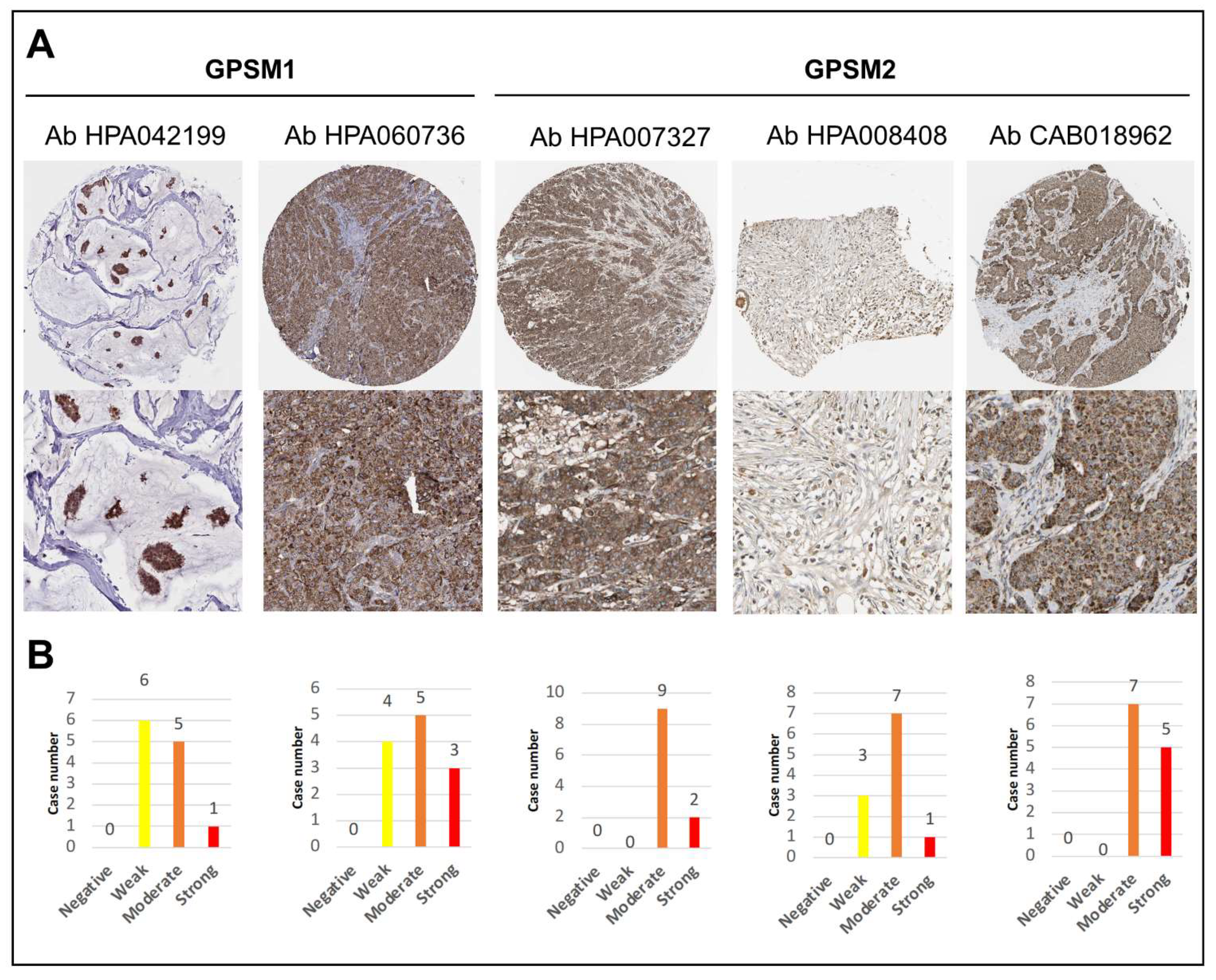 Biomedicines 09 01144 g004